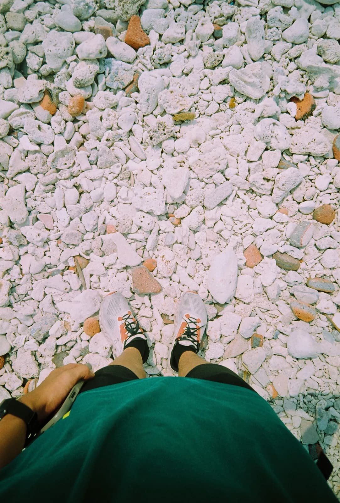 Film photograph shot on Lucky Color C200 with a Kodak Snapic A1 by Zigao Wang