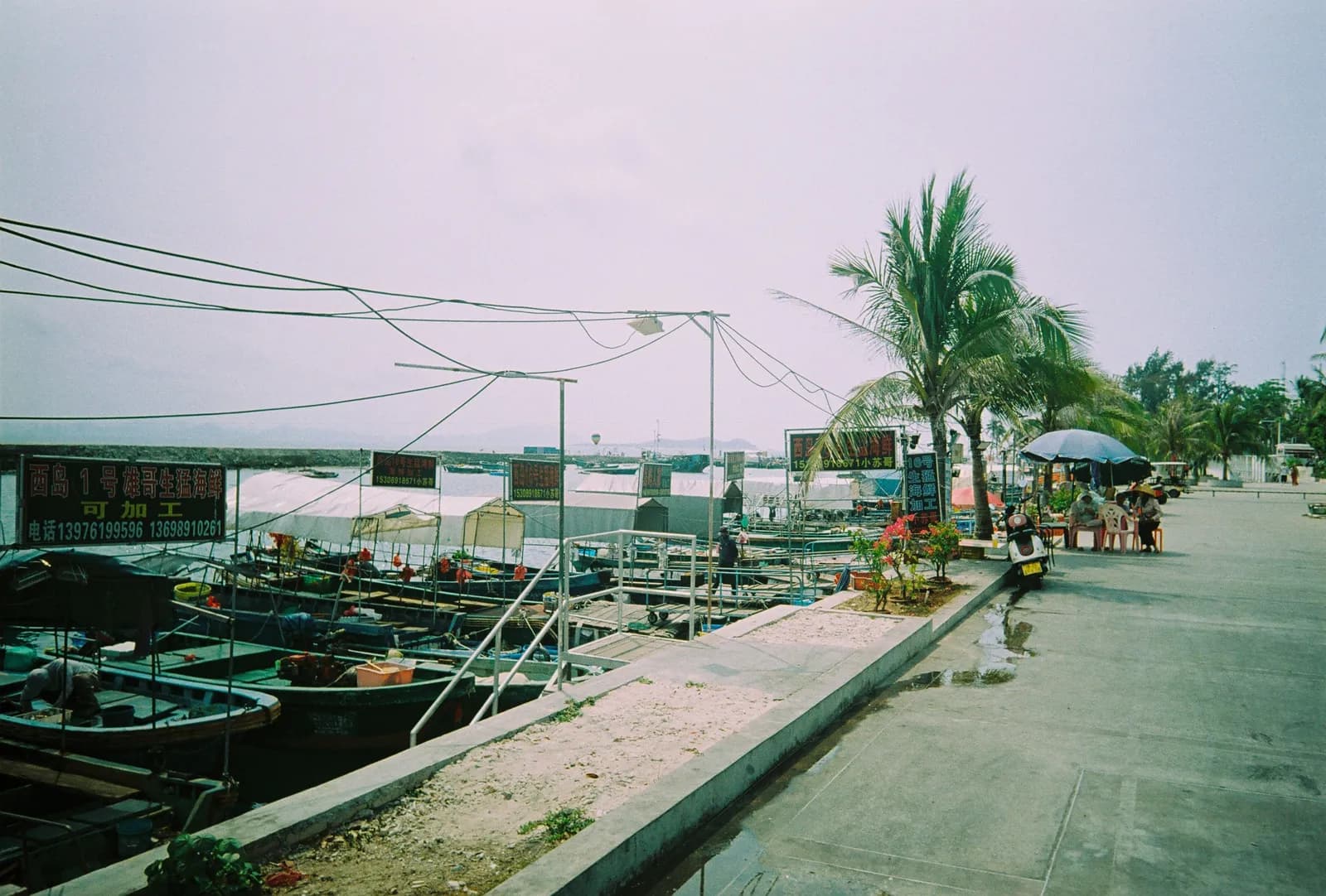 Film photograph shot on Lucky Color C200 with a Kodak Snapic A1 by Zigao Wang