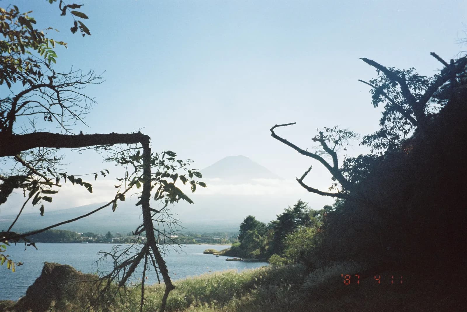 Film photograph shot on Kodak Gold 200 with a Pentax Espio 120 by lyu