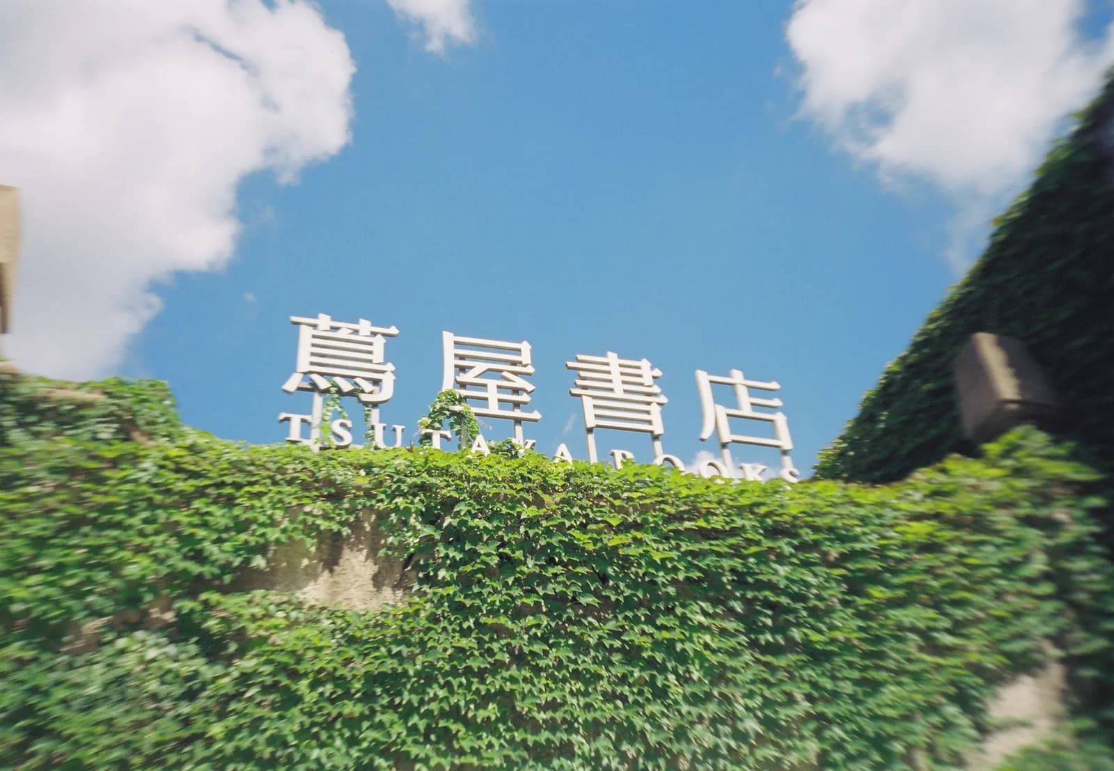 Film photograph shot on Kodak Vision3 250D with an Olympus Mju-I by CJ Liu