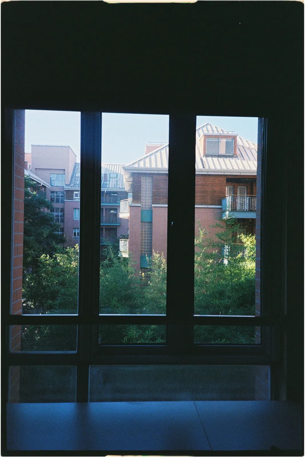 Film photograph shot on Kodak UltraMax 400 with a Konica Big Mini BM-201 by Zigao Wang