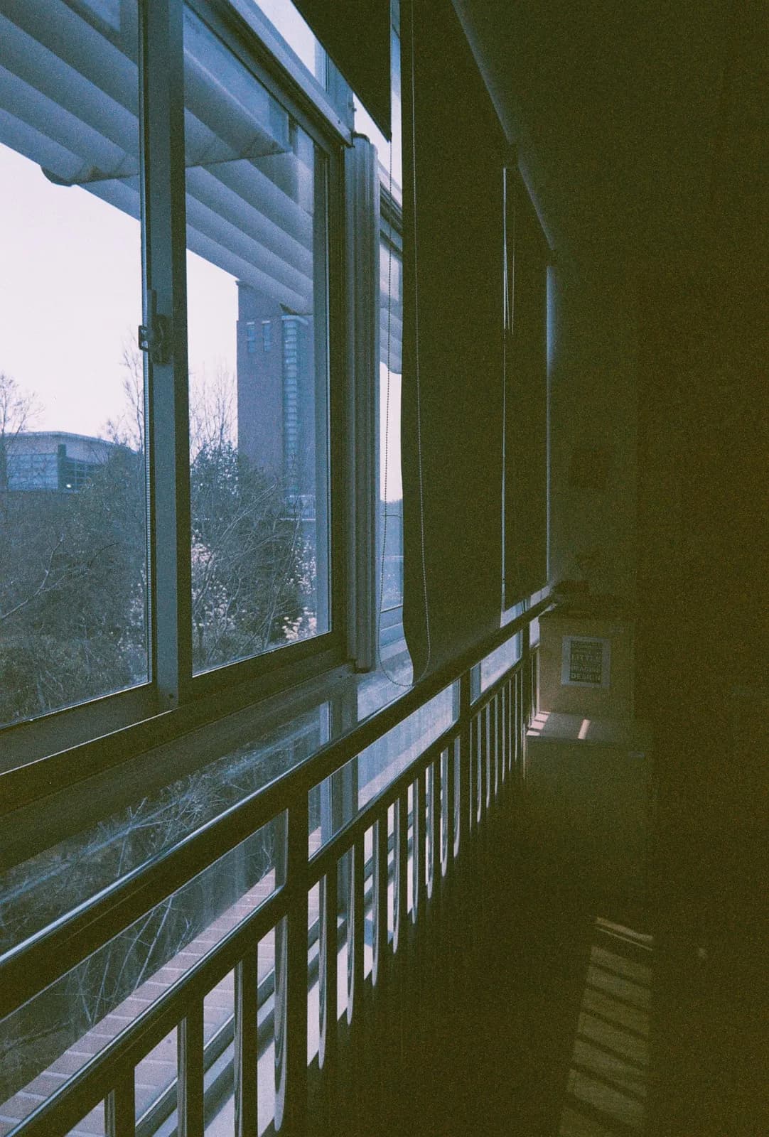 Film photograph shot on Orwo Wolfen NC400 with a Kodak Snapic A1 by Zigao Wang