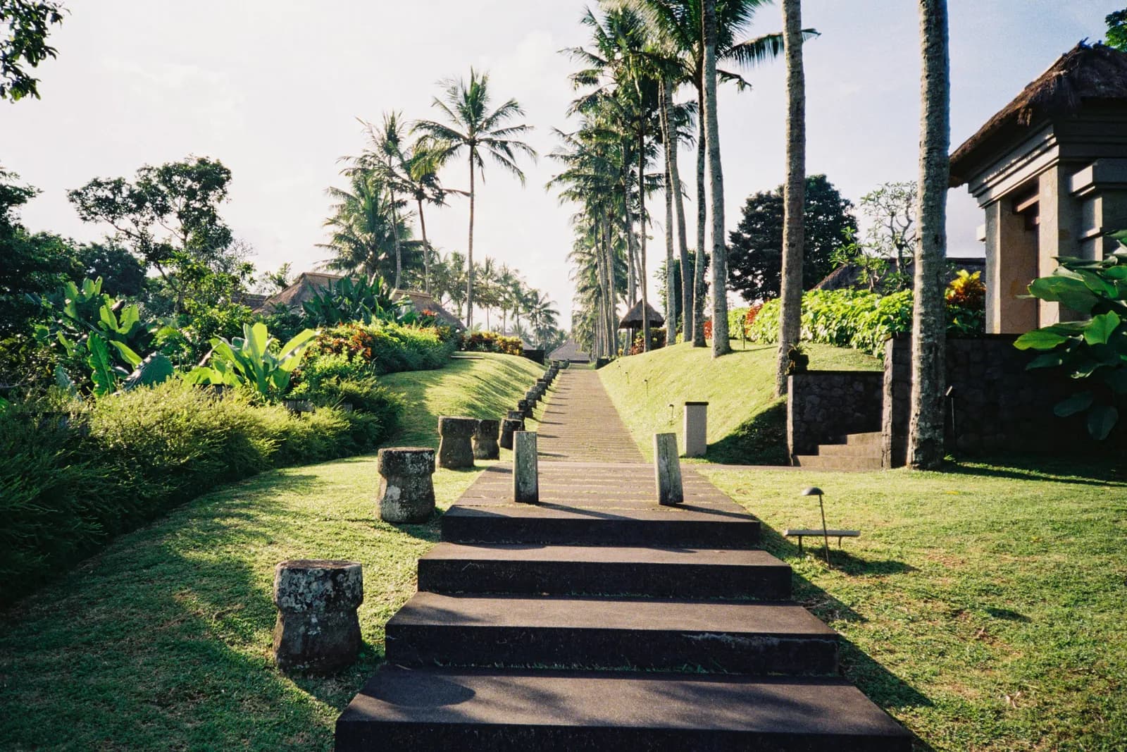 Film photograph shot on Kodak UltraMax 400 with a Canon Autoboy FXL by Febe Mo