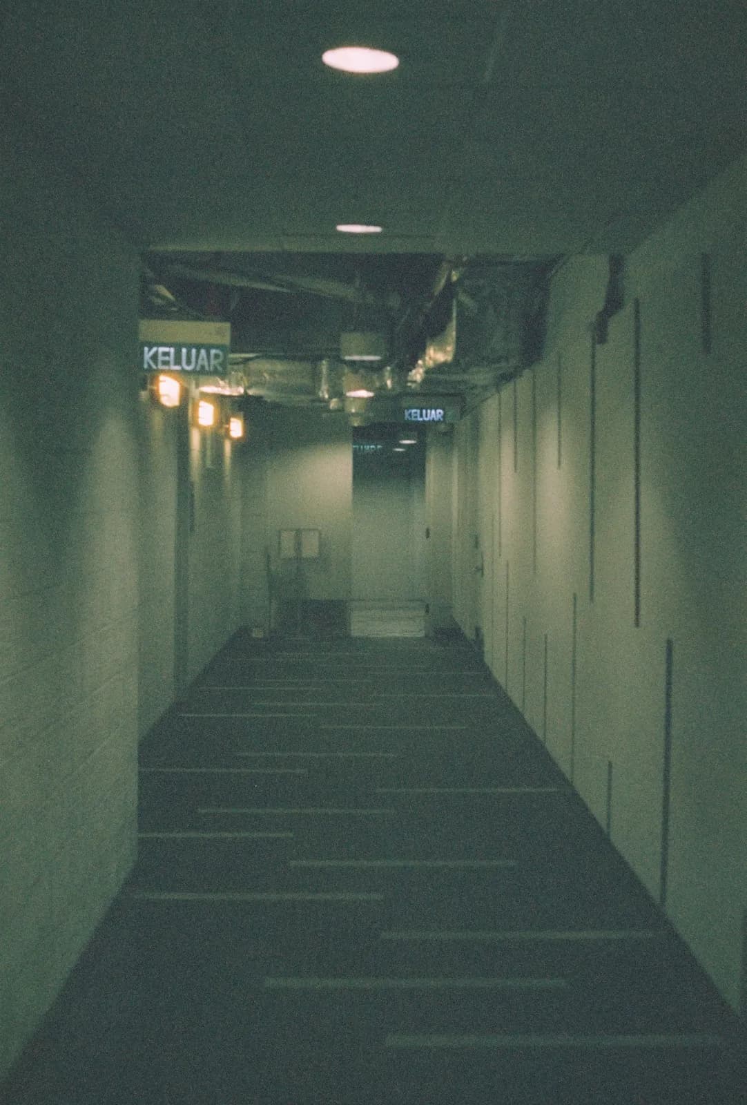 Film photograph shot on Harman Phoenix II 200 with a Canon AE-1 Program by Zigao Wang