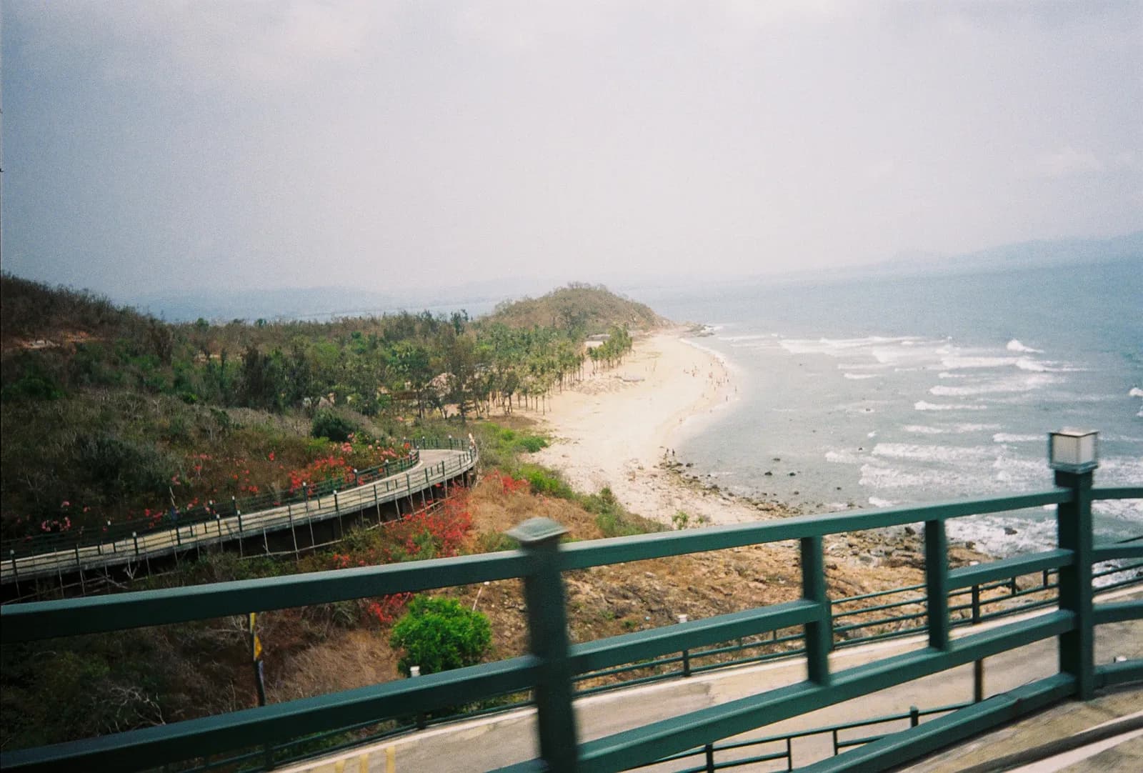 Film photograph shot on Lomography Color Negative 400 with a Kodak Snapic A1 by Zigao Wang