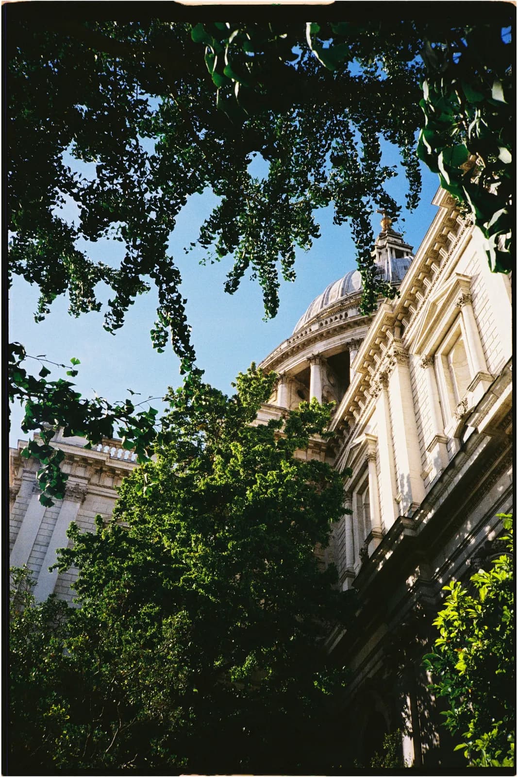 Film photograph shot on Kodak UltraMax 400 with a Konica Big Mini BM-201 by Zigao Wang