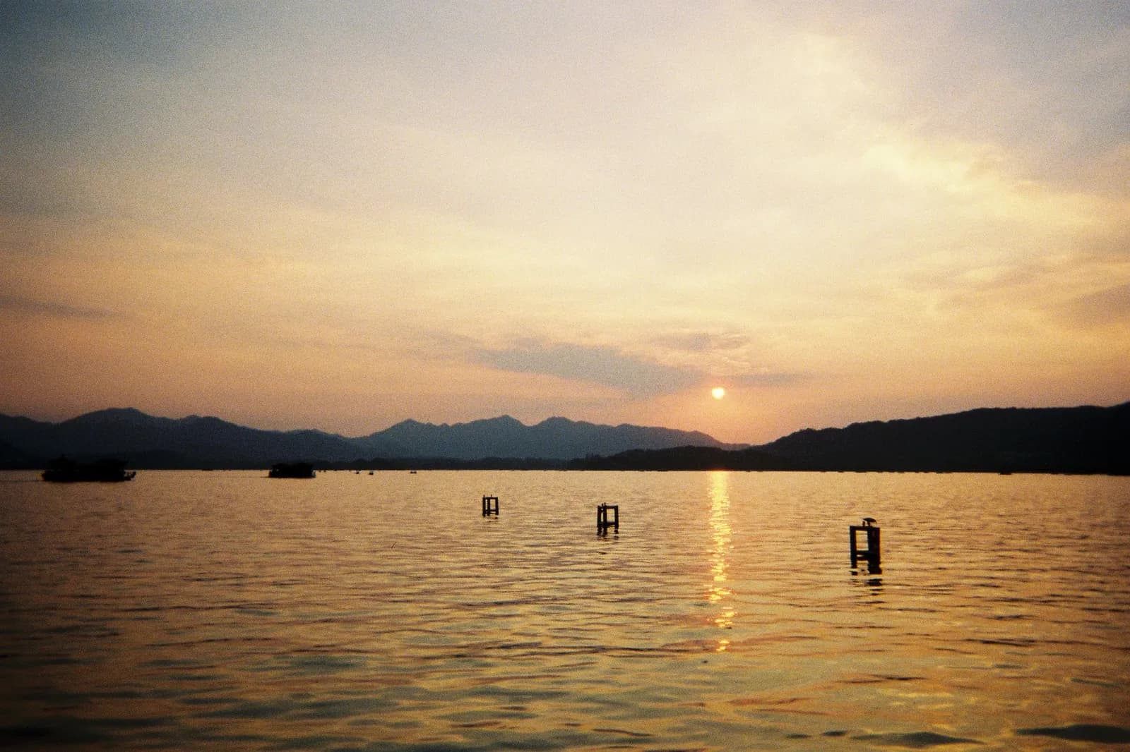 Film photograph shot on Kodak Gold 800 with a Kodak FunSaver by Max Du