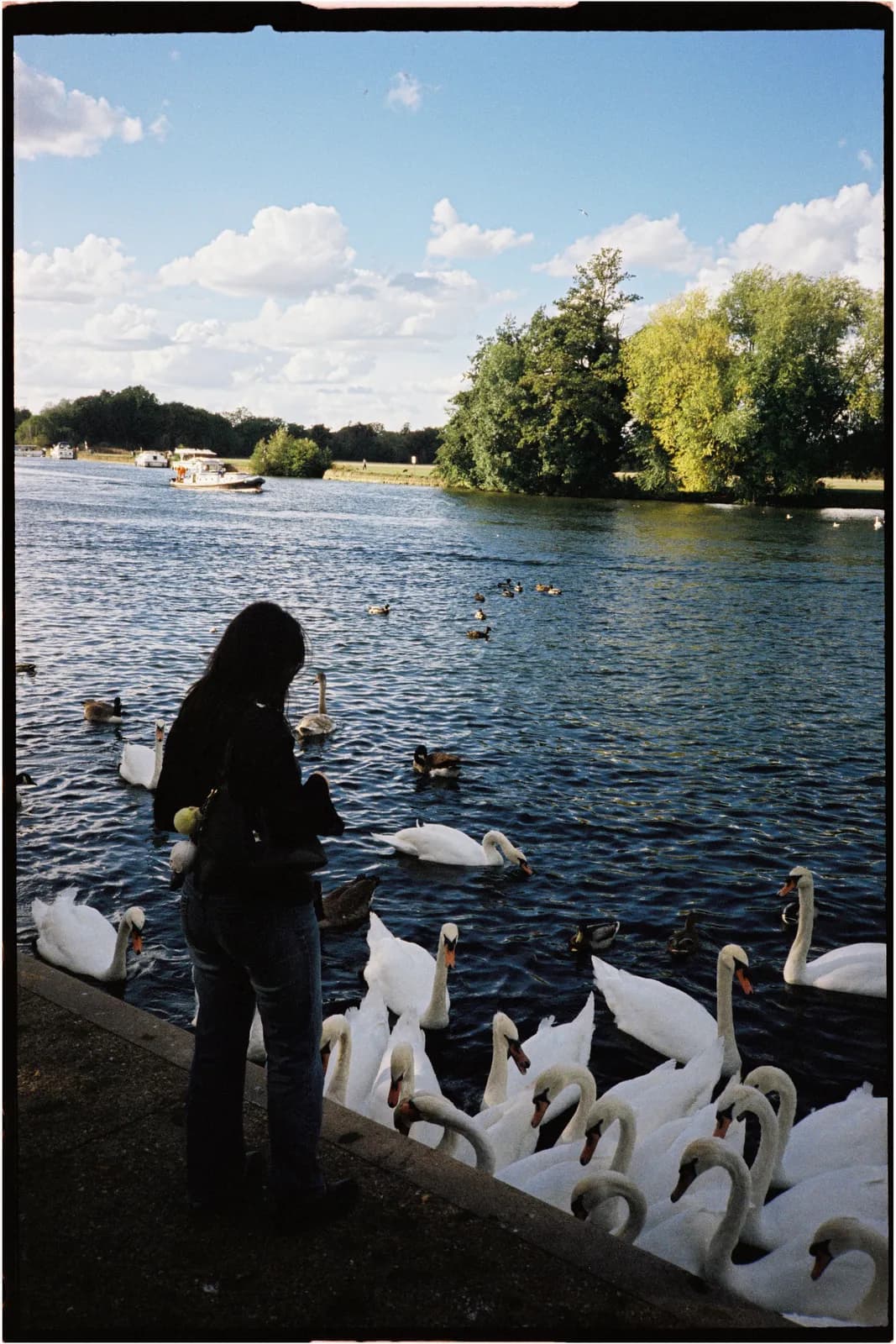 Film photograph shot on Candido 400 with a Konica Big Mini BM-201 by Zigao Wang
