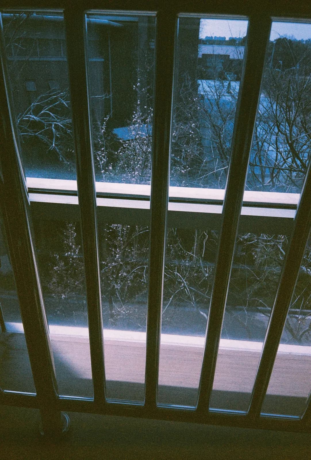 Film photograph shot on Orwo Wolfen NC400 with a Kodak Snapic A1 by Zigao Wang