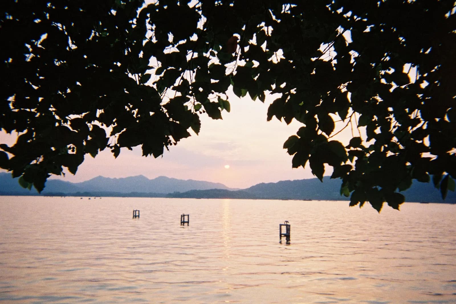 Film photograph shot on Kodak Gold 800 with a Kodak FunSaver by Max Du