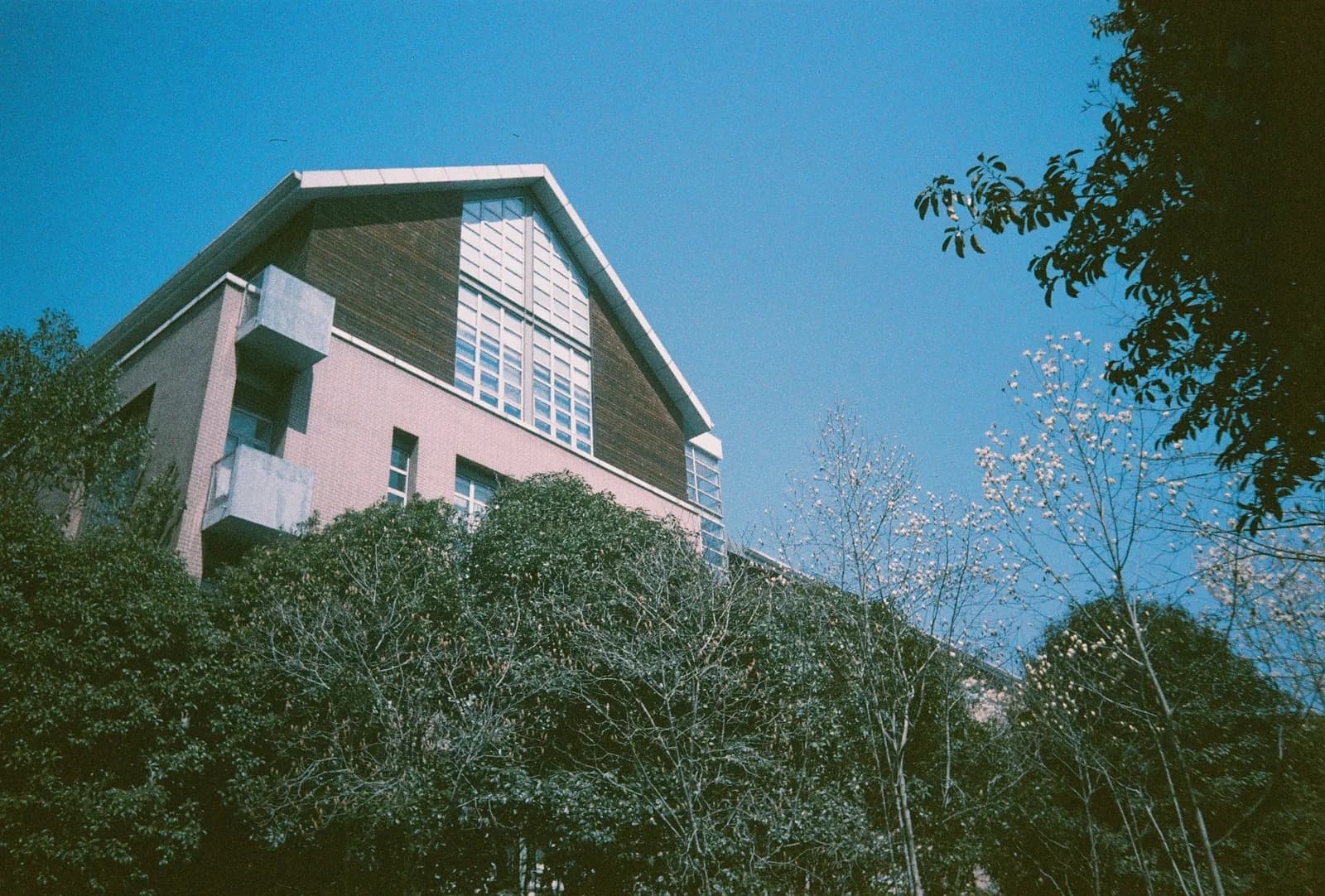 Film photograph shot on Orwo Wolfen NC400 with a Kodak Snapic A1 by Zigao Wang