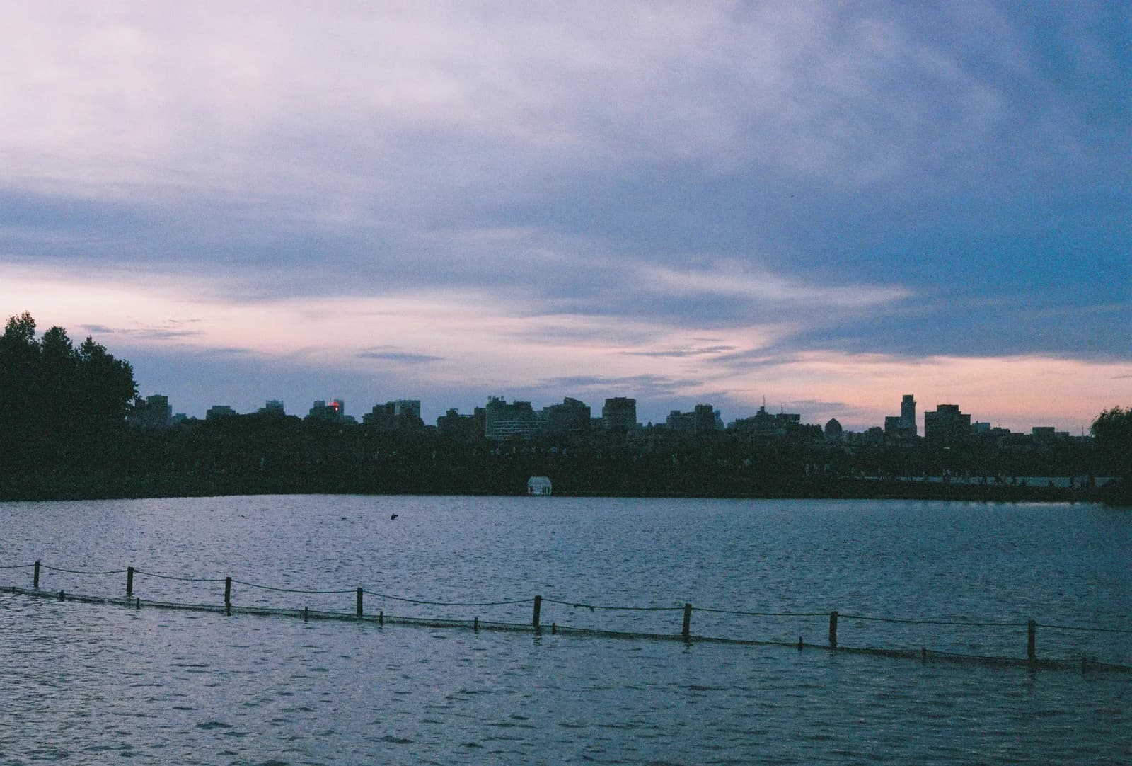 Film photograph shot on Fujifilm Superia Premium 400 with a Canon AE-1 Program by Zigao Wang