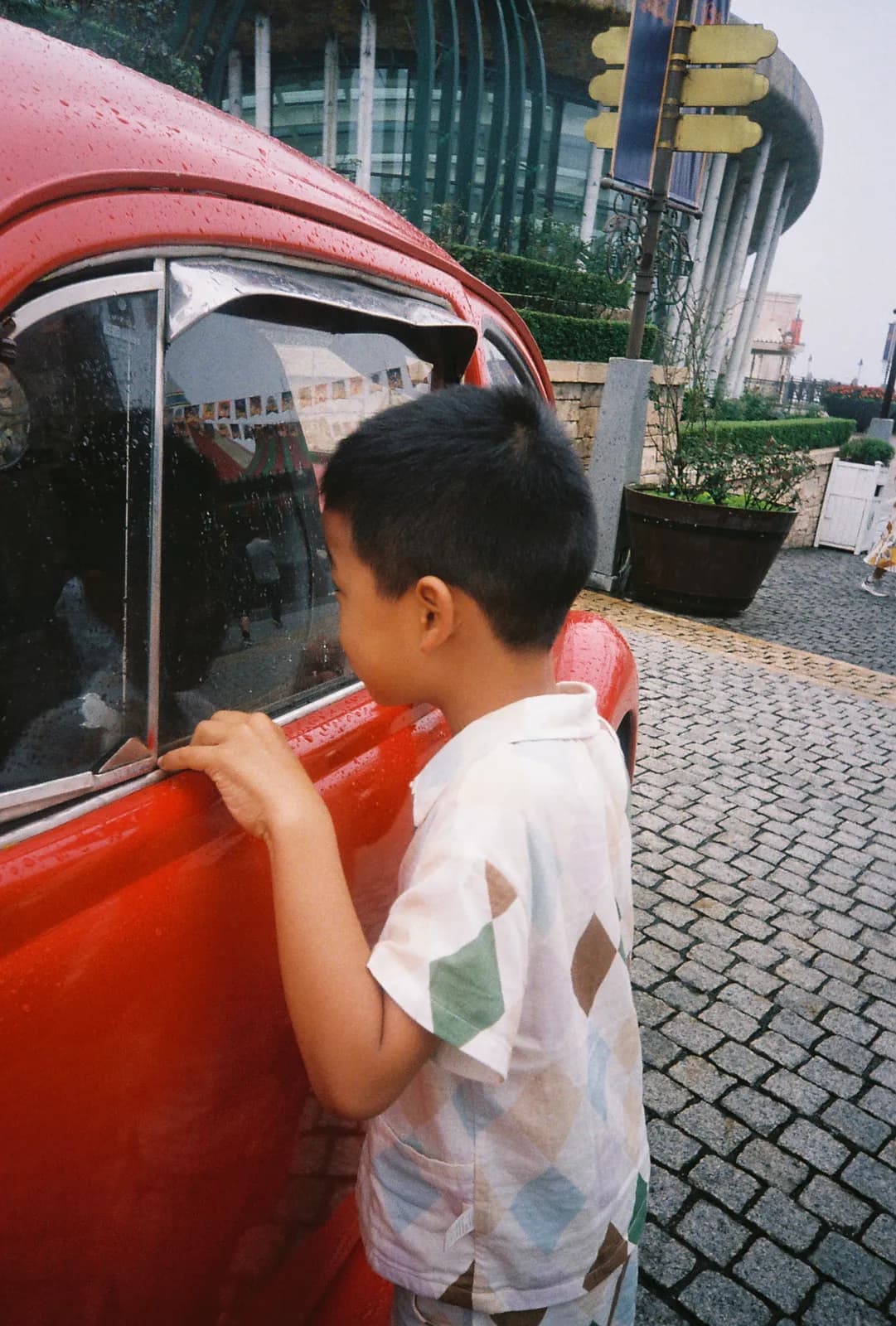 Film photograph