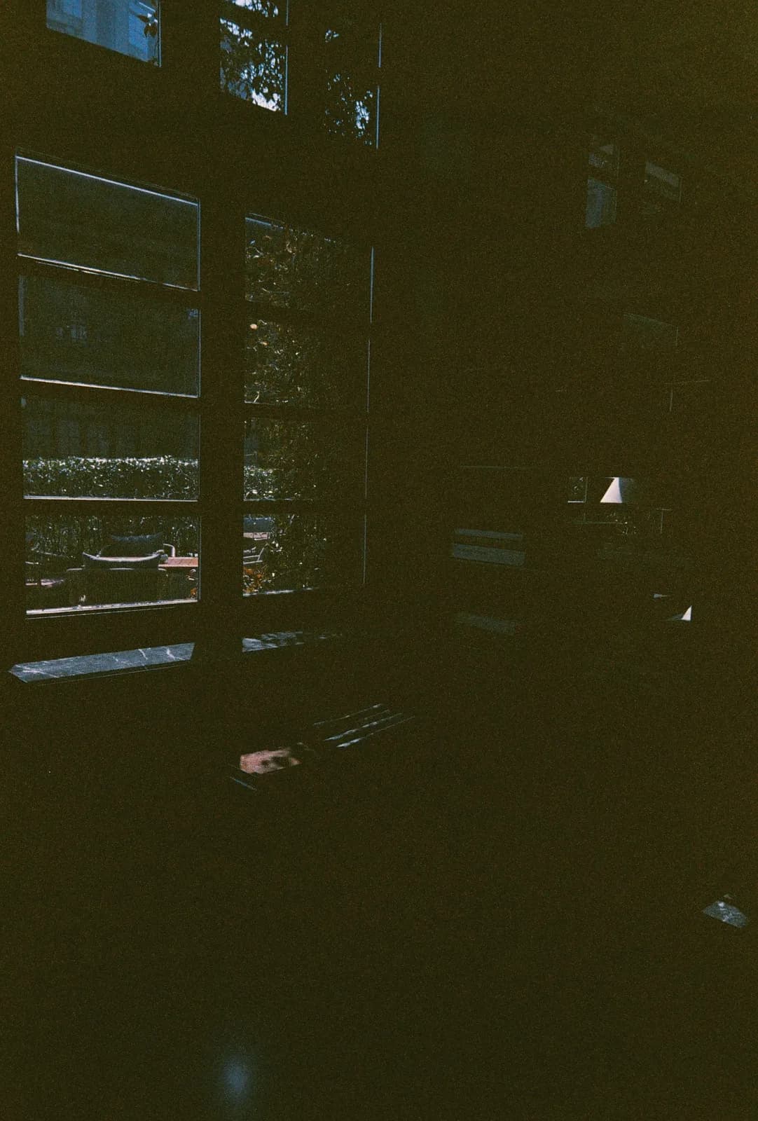 Film photograph