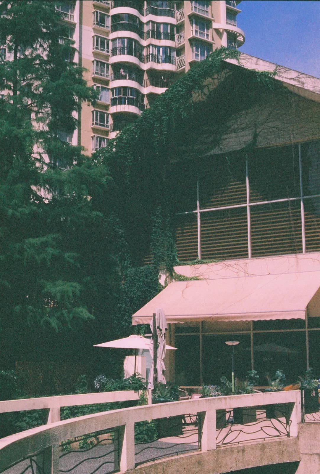 Film photograph shot on Harman Phoenix II 200 with a Canon AE-1 Program by Zigao Wang