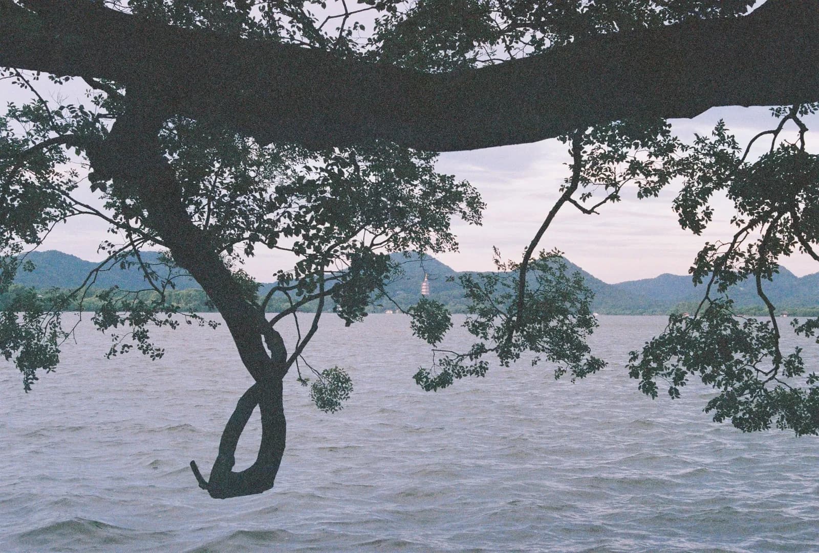 Film photograph shot on Fujifilm Superia Premium 400 with a Canon AE-1 Program by Zigao Wang