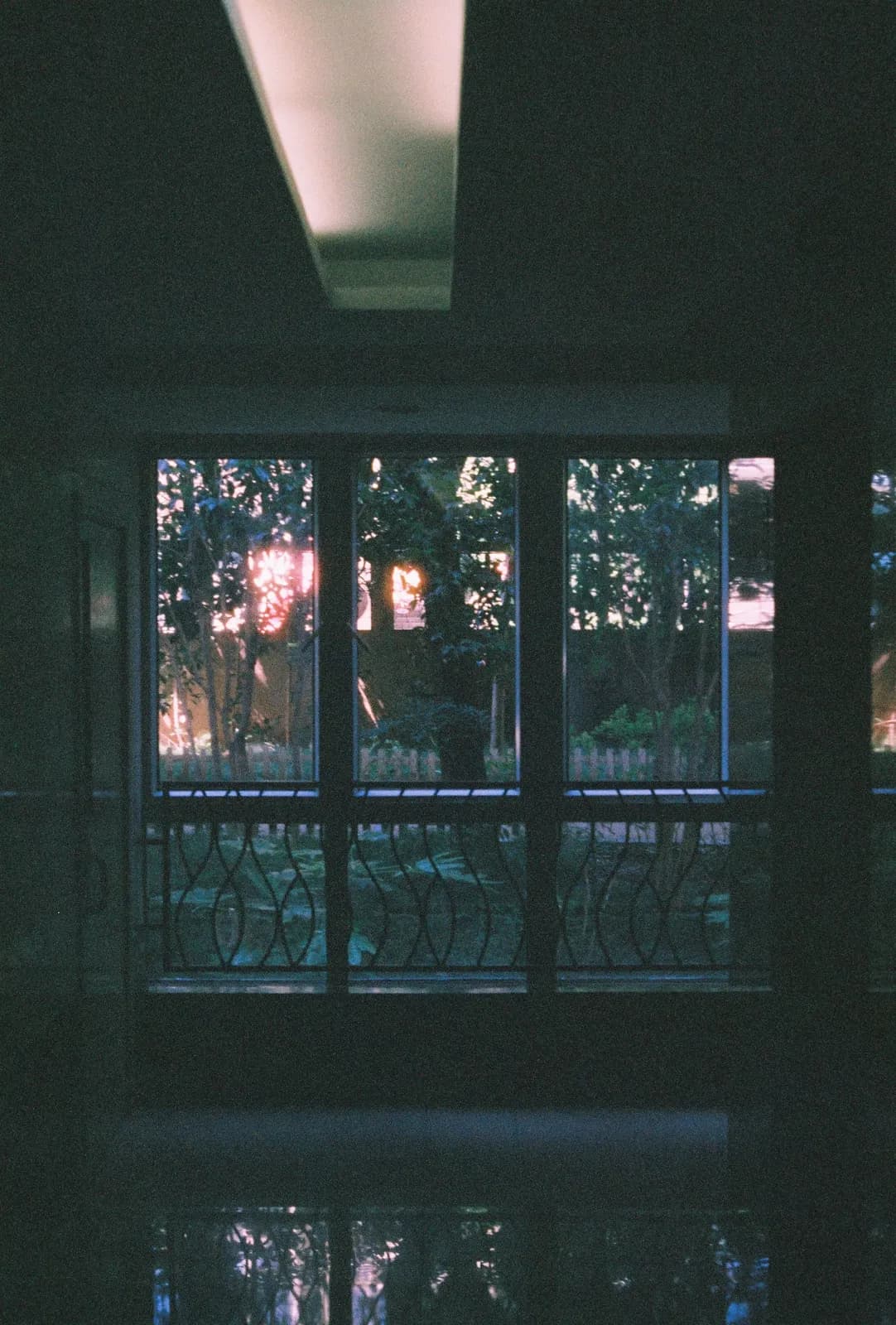 Film photograph shot on Harman Phoenix II 200 with a Canon AE-1 Program by Zigao Wang