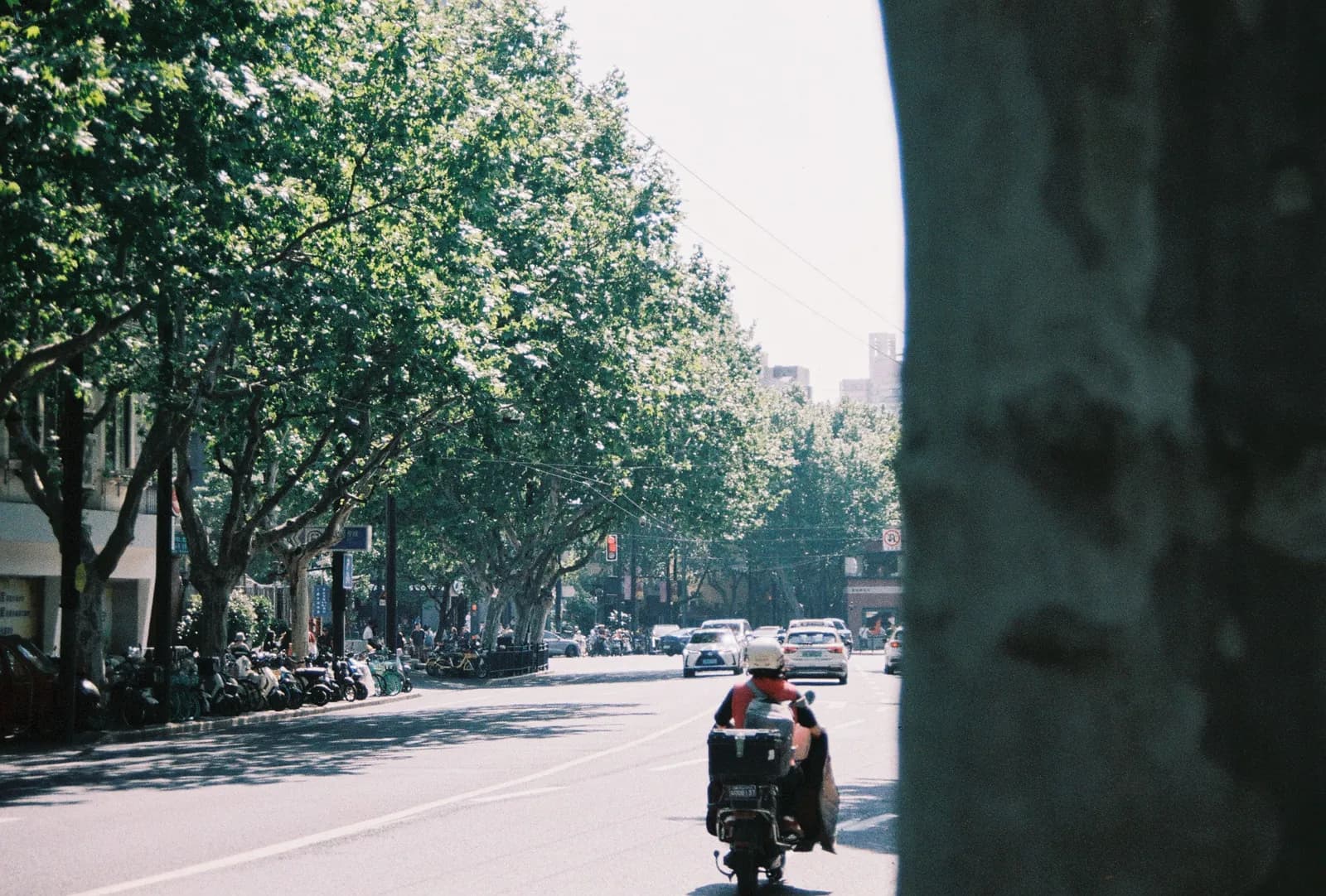 Film photograph shot on LomoChrome Color '92 Sun-Kissed with a Canon AE-1 Program by CJ Liu