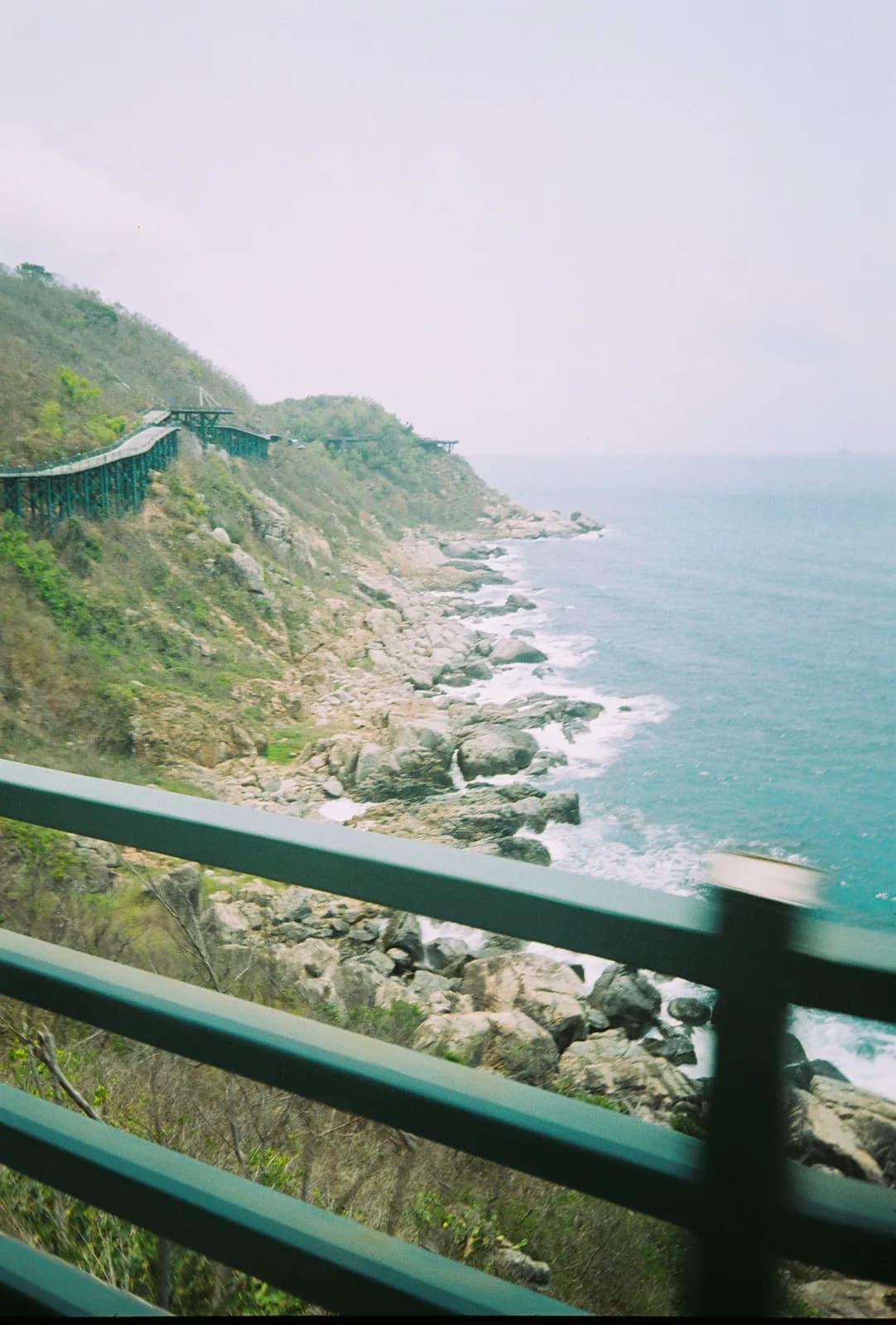 Film photograph shot on Lucky Color C200 with a Kodak Snapic A1 by Zigao Wang
