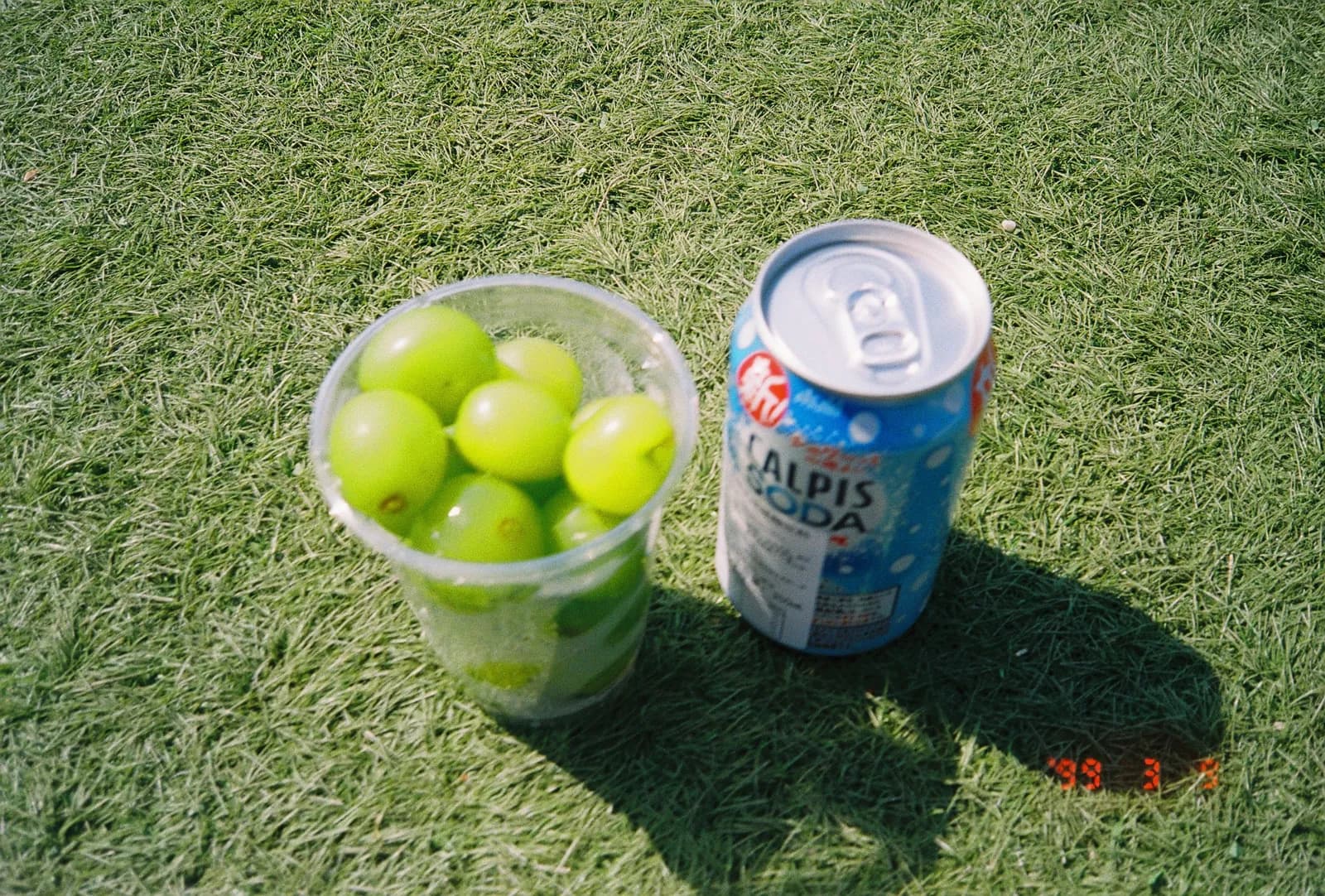 Film photograph shot on Ilford Ilfocolor Vivid 400 with an Olympus Mju-I by CJ Liu