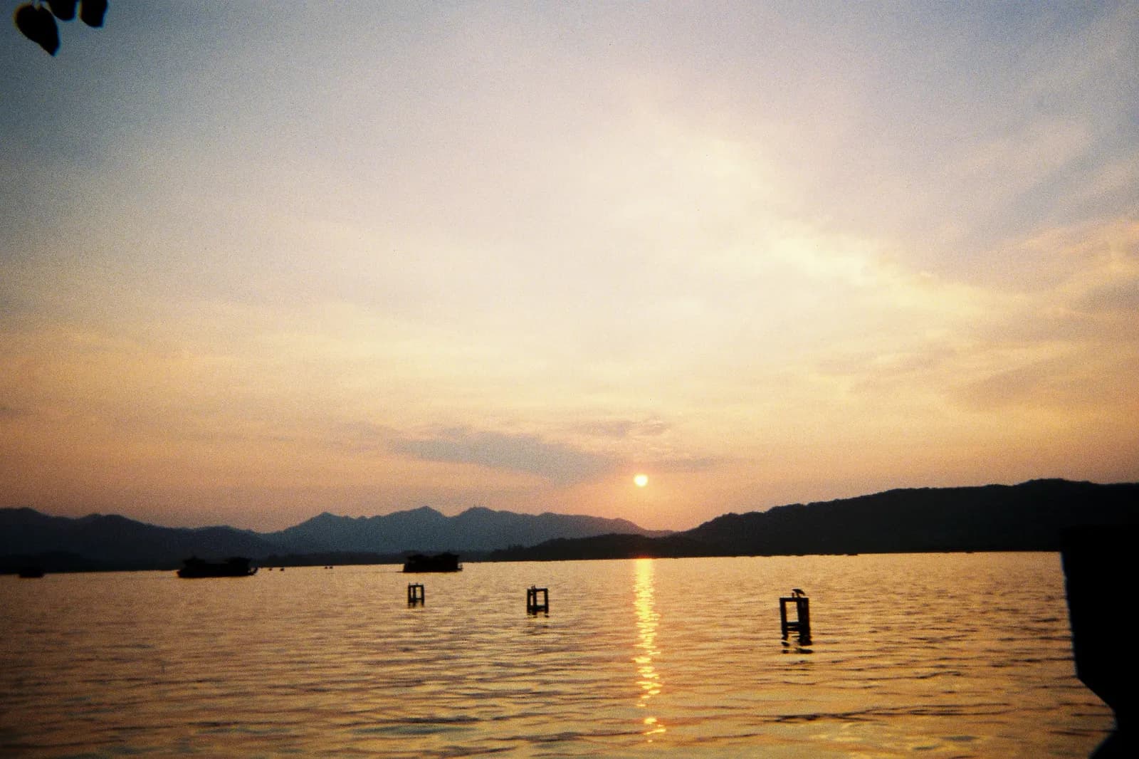 Film photograph shot on Kodak Gold 800 with a Kodak FunSaver by Max Du