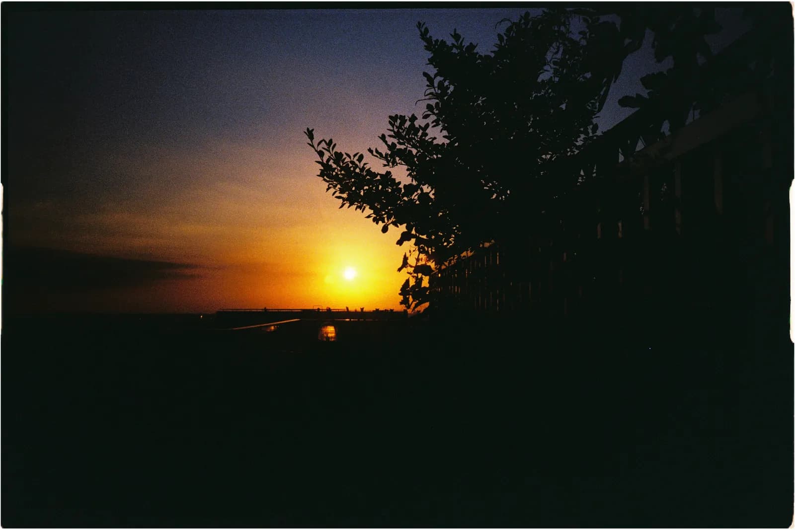 Film photograph shot on Kodak UltraMax 400 with a Konica Big Mini BM-201 by Zigao Wang