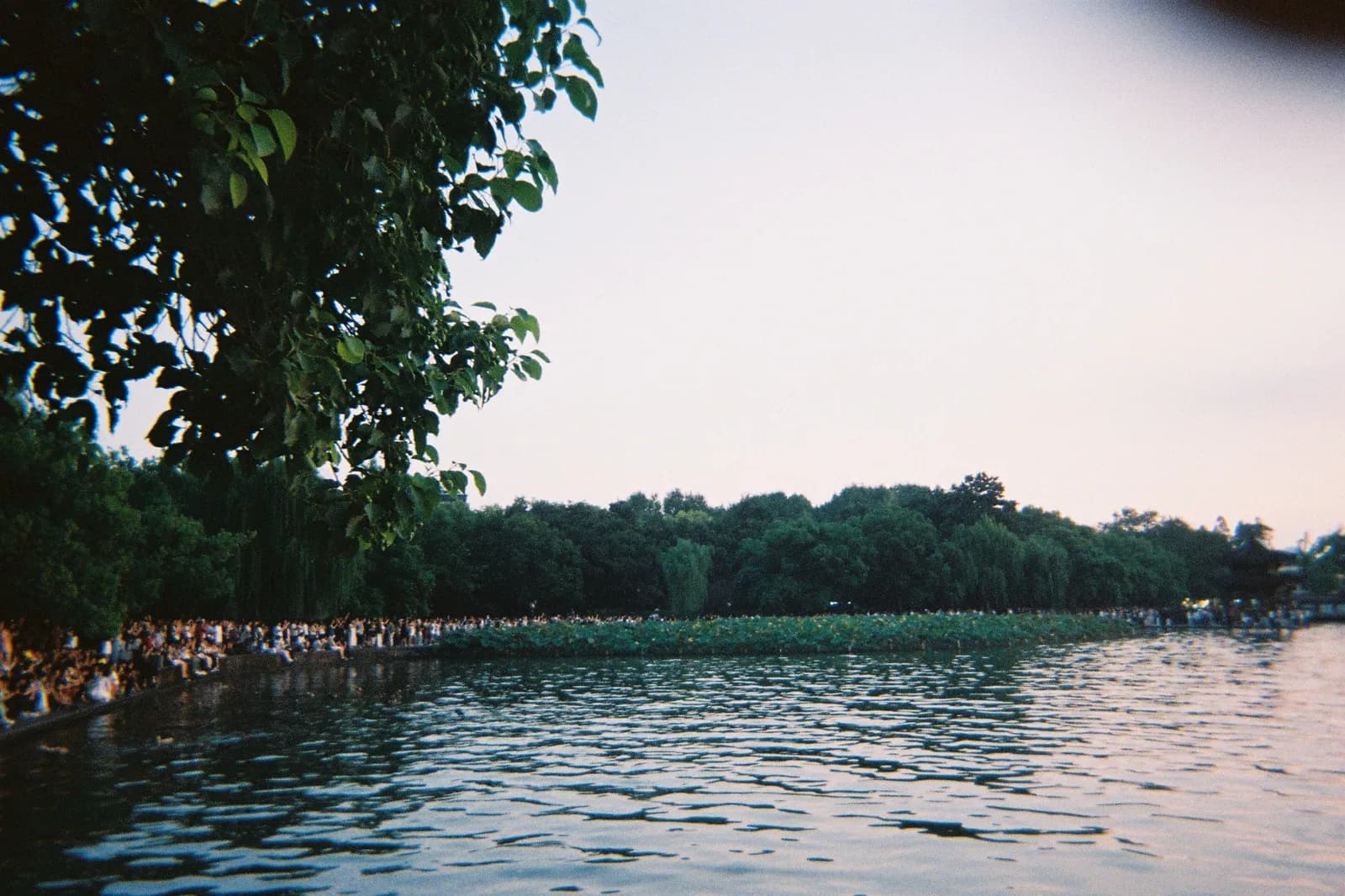 Film photograph shot on Kodak Gold 800 with a Kodak FunSaver by Max Du