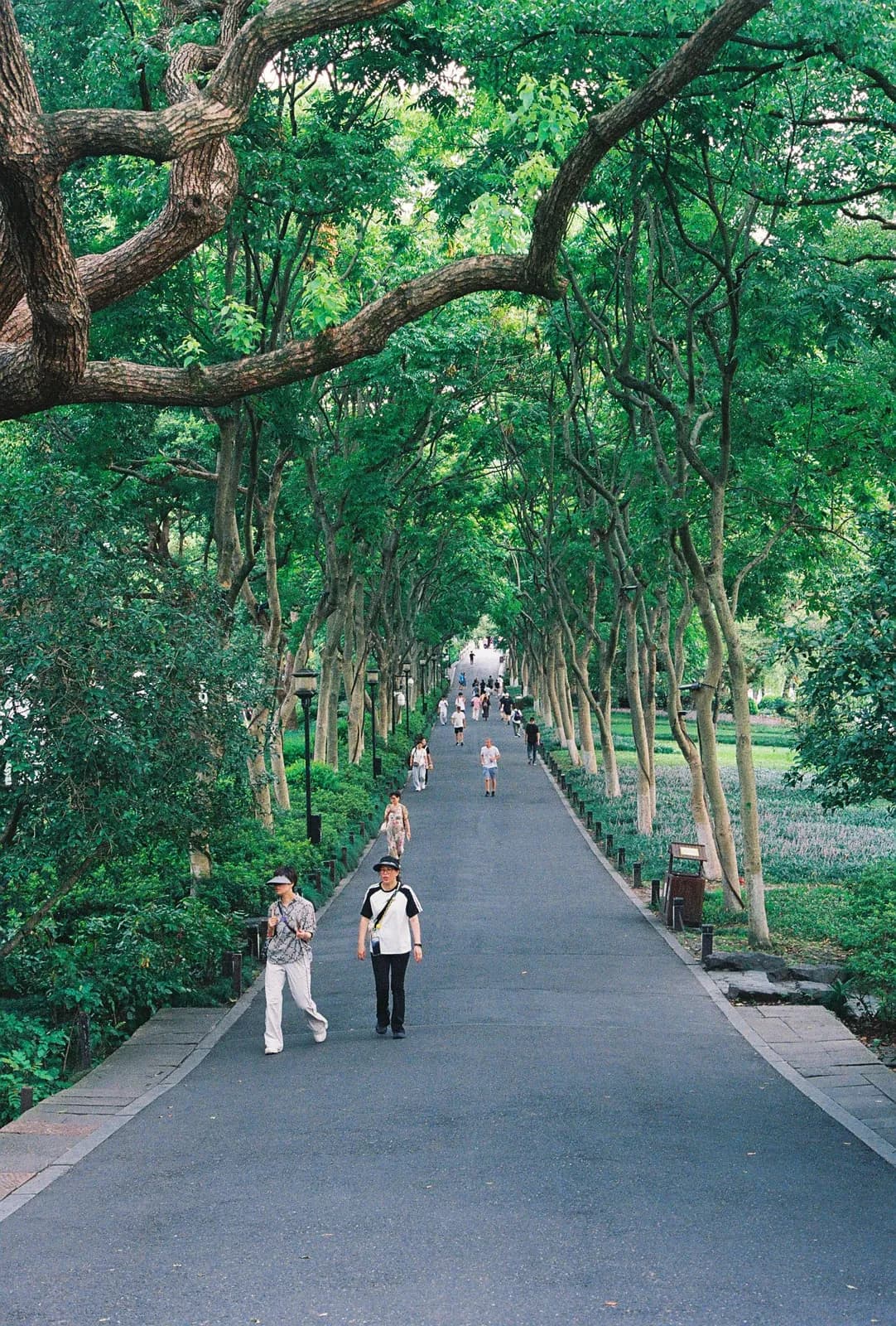 Film photograph shot on Kodak UltraMax 400 with a Canon AE-1 Program by Zigao Wang
