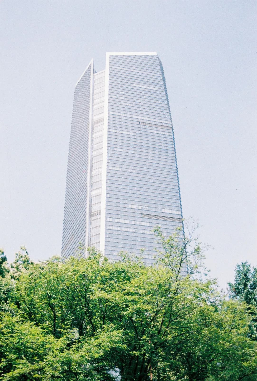 Film photograph shot on LomoChrome Color '92 Sun-Kissed with a Canon AE-1 Program by CJ Liu