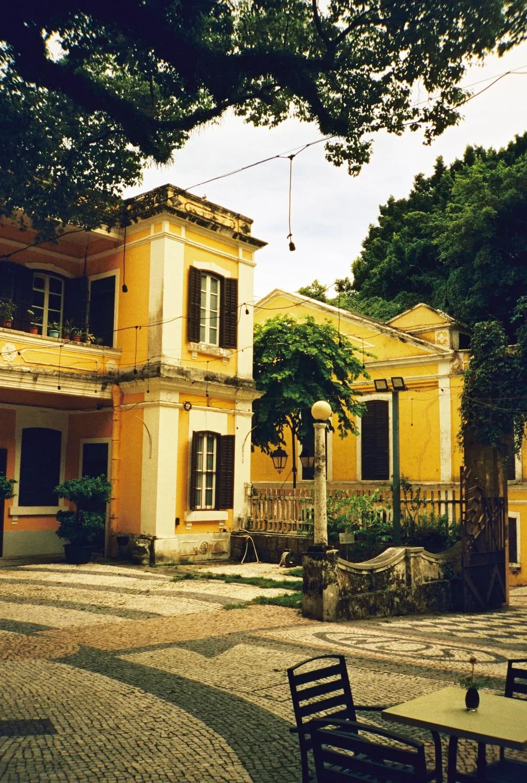 Film photograph shot on Lucky Color 400 with an Olympus Trip Panorama 2 by Zigao Wang