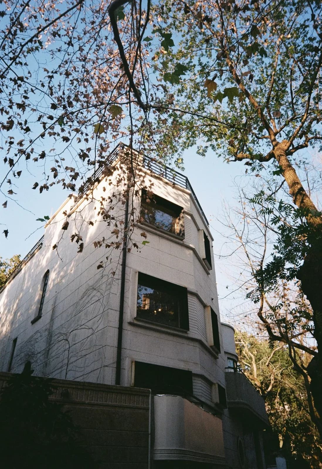 My first roll of 🎞️