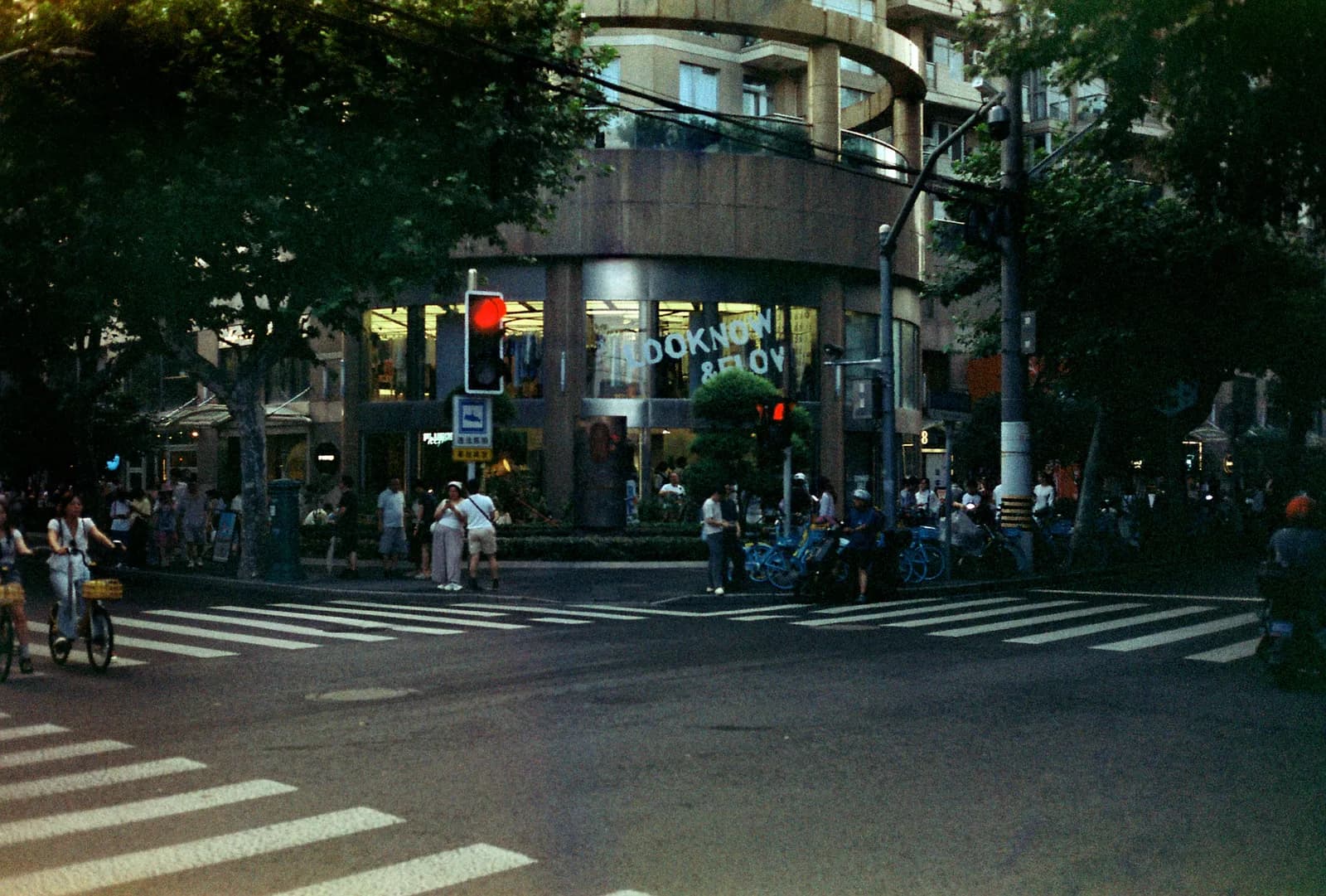 Film photograph shot on Kodak Gold 200 with an Olympus 35 SP by Barry Shawn