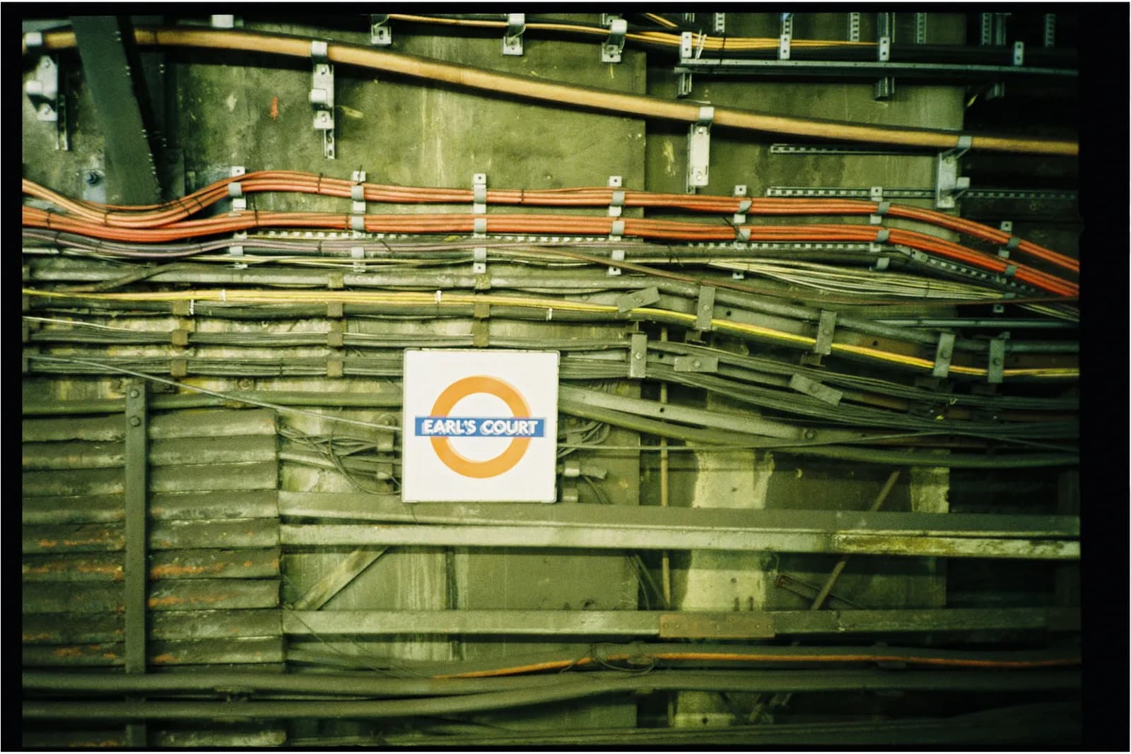 Film photograph shot on Kodak Gold 200 with a Konica Big Mini BM-201 by Zigao Wang