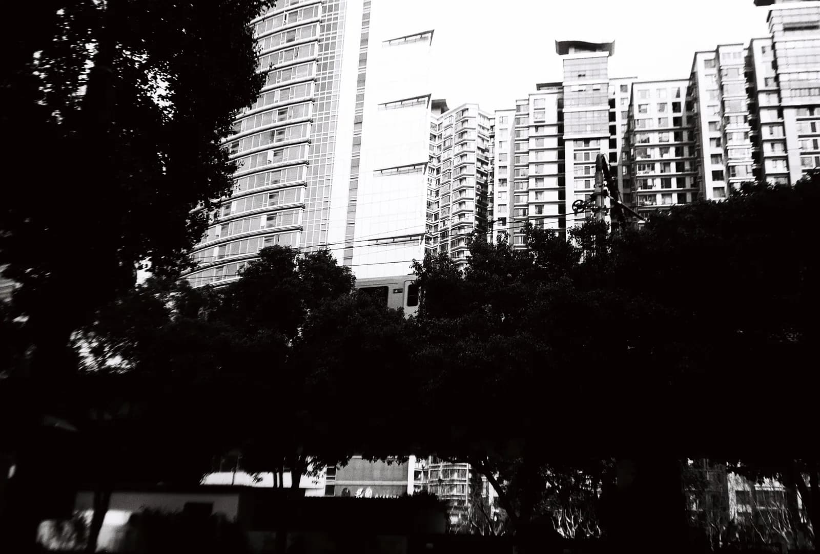 Film photograph