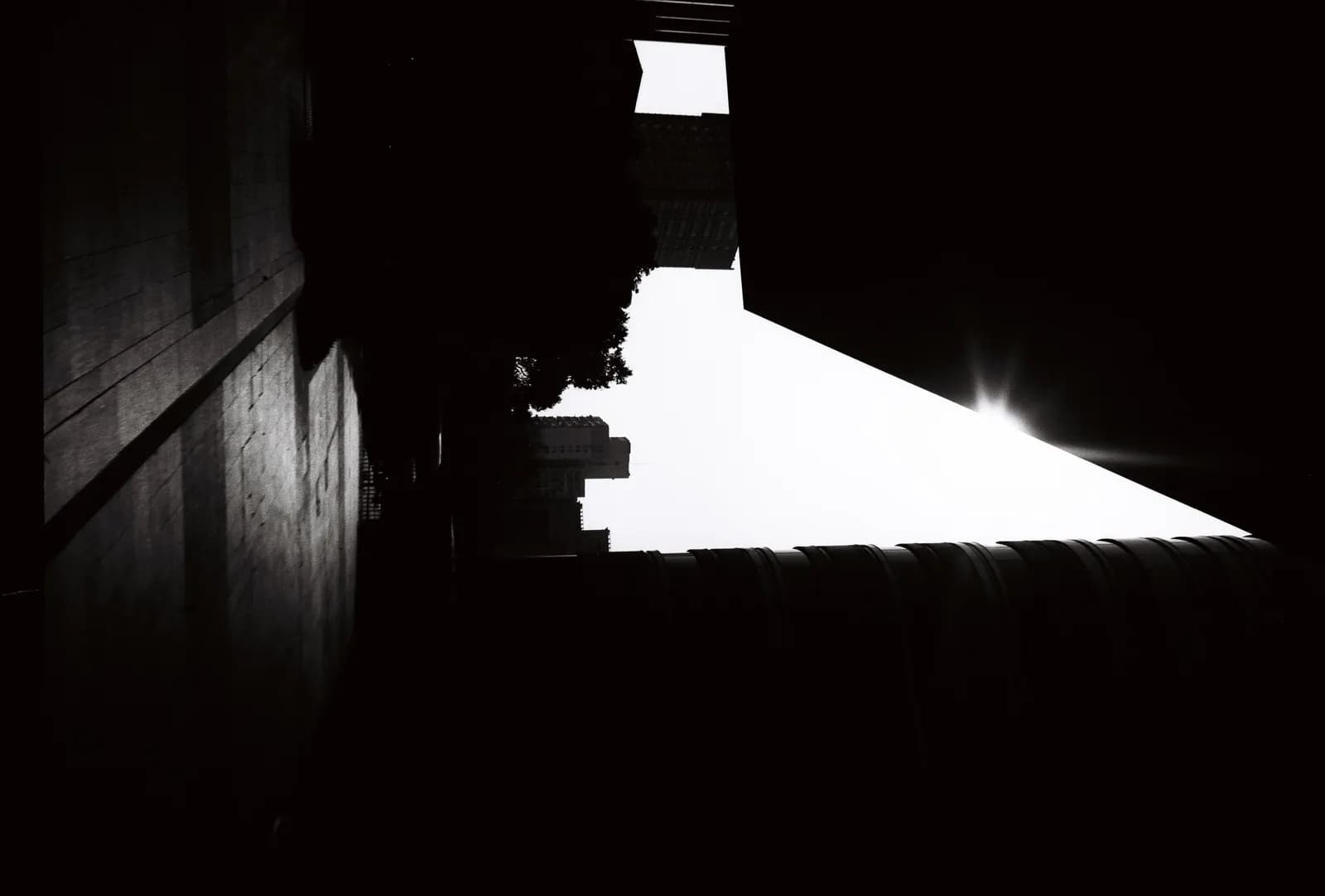 Film photograph