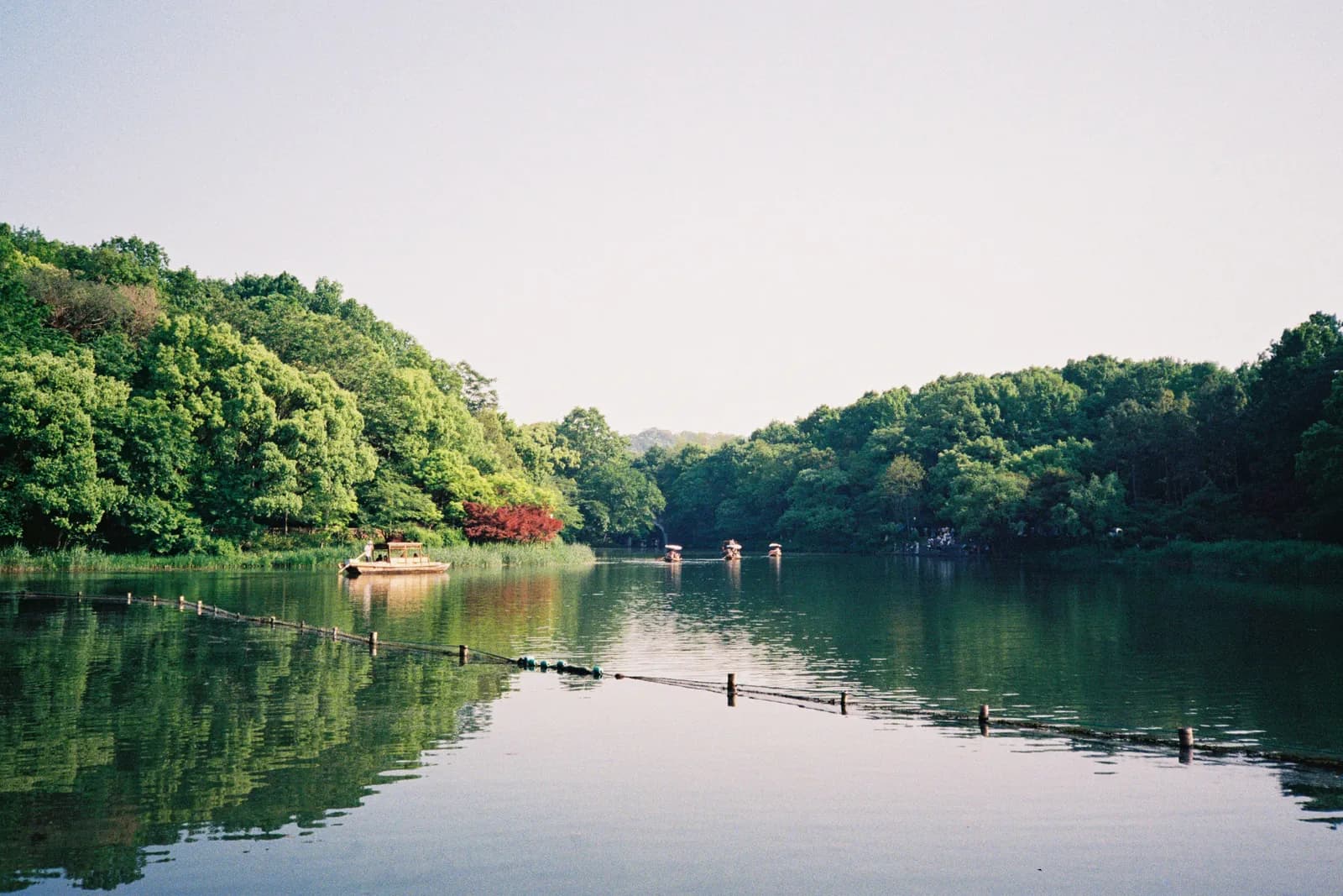 Film photograph shot on Kodak UltraMax 400 with a Canon Autoboy FXL by Febe Mo