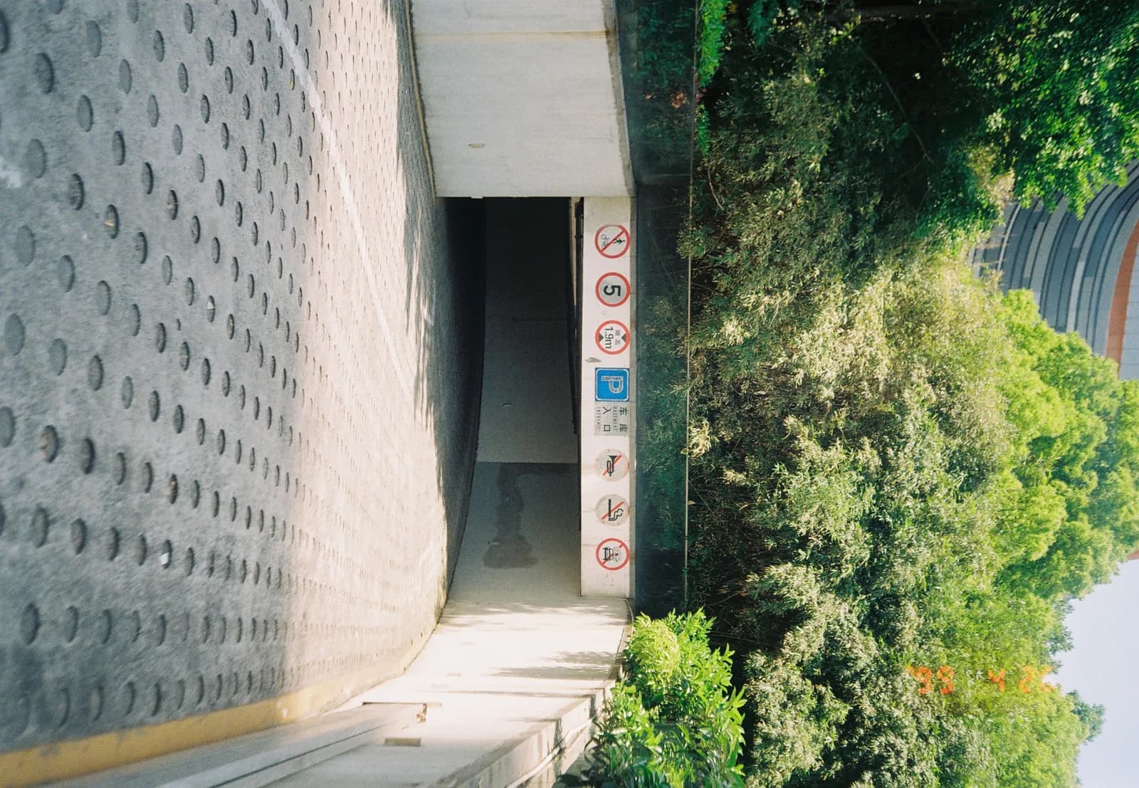 Film photograph shot on Kodak Gold 200 with an Olympus Mju-I by CJ Liu