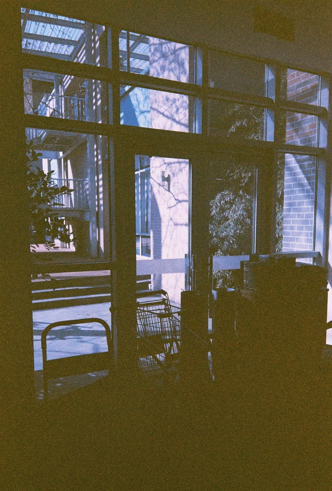 Film photograph shot on Orwo Wolfen NC400 with a Kodak Snapic A1 by Zigao Wang