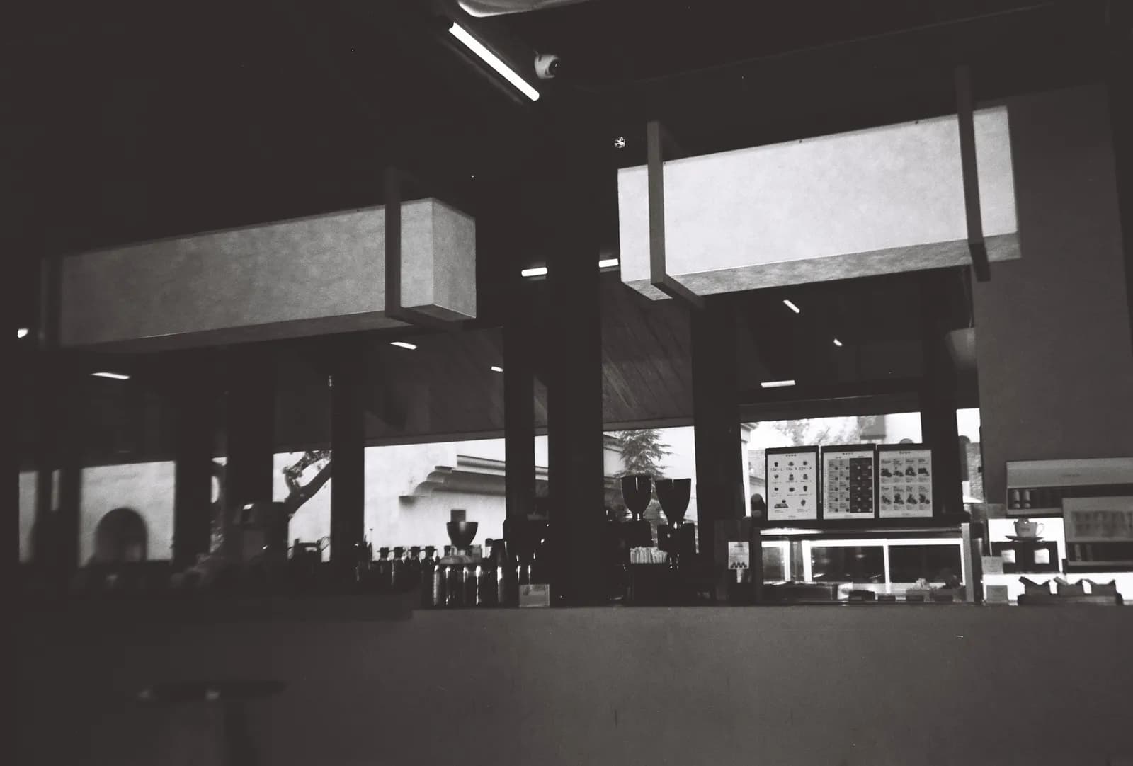 Film photograph