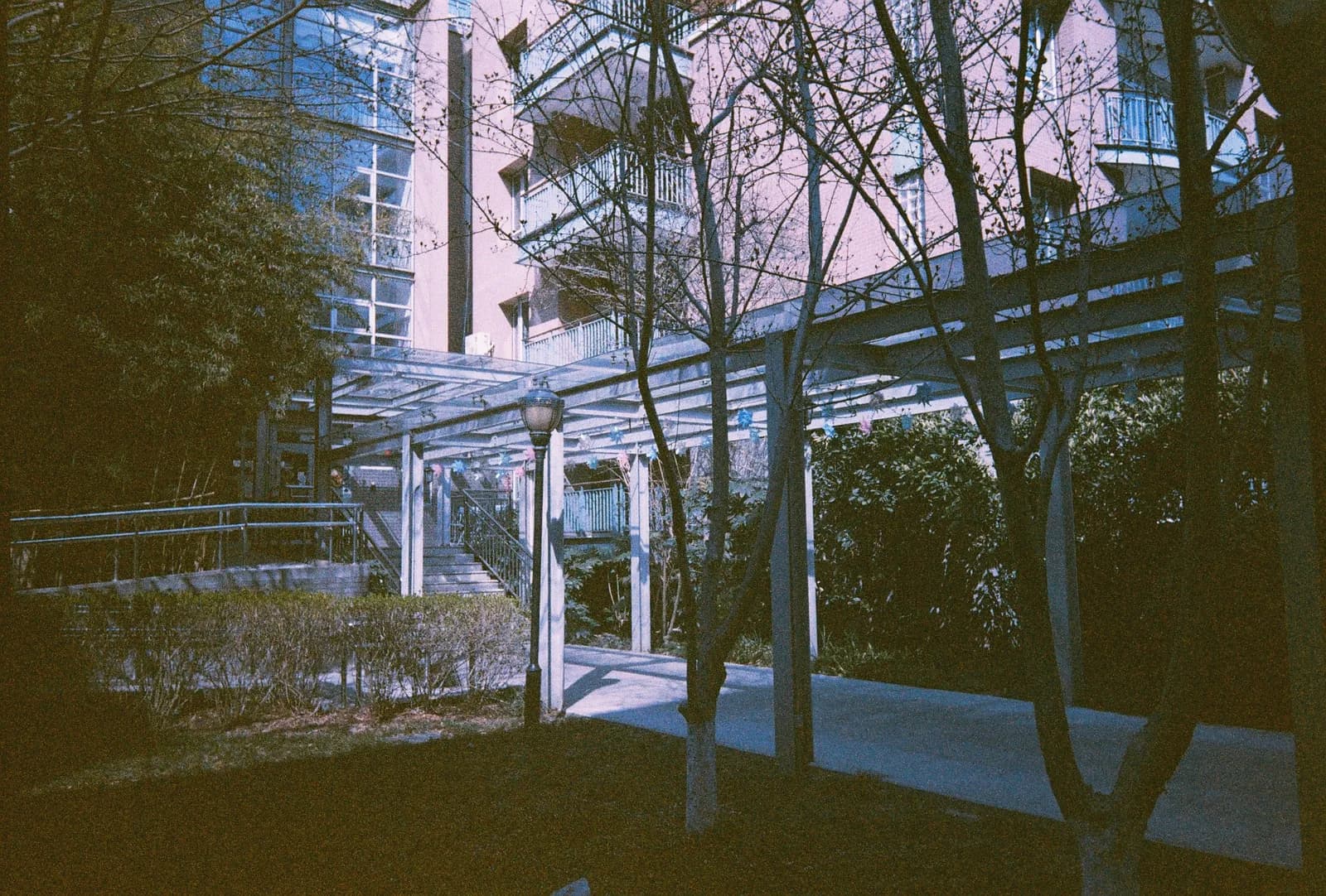 Film photograph shot on Orwo Wolfen NC400 with a Kodak Snapic A1 by Zigao Wang