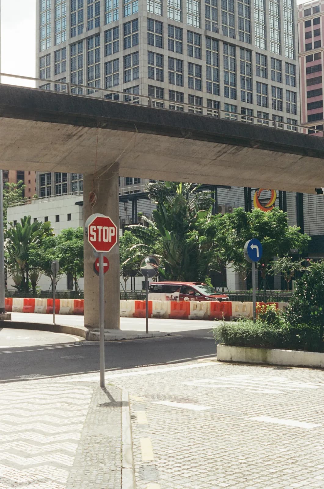Film photograph shot on Kodak Vision3 250D with a Canon AE-1 Program by Zigao Wang