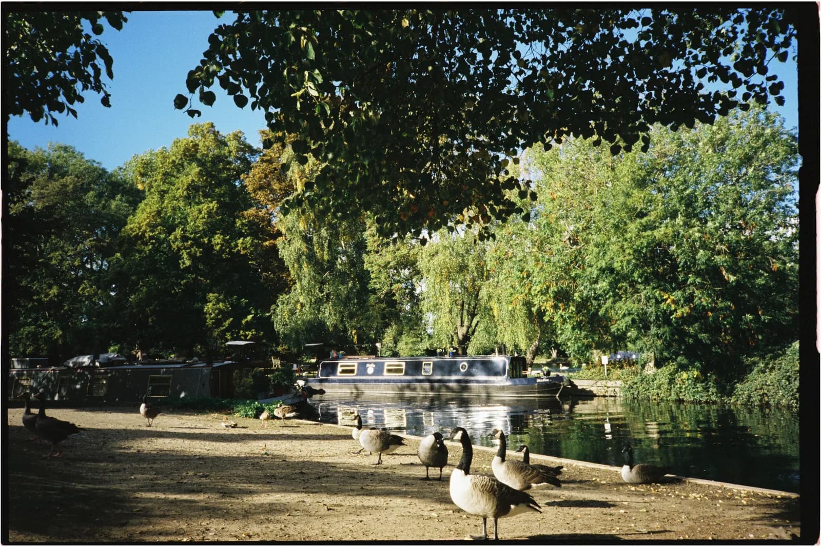 Film photograph shot on Candido 400 with a Konica Big Mini BM-201 by Zigao Wang