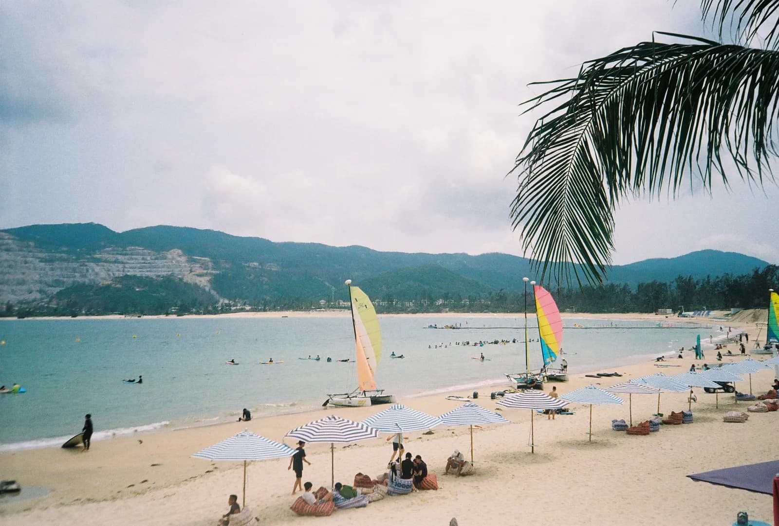 Film photograph shot on Kodak Gold 200 with an Olympus Mju-I by CJ Liu
