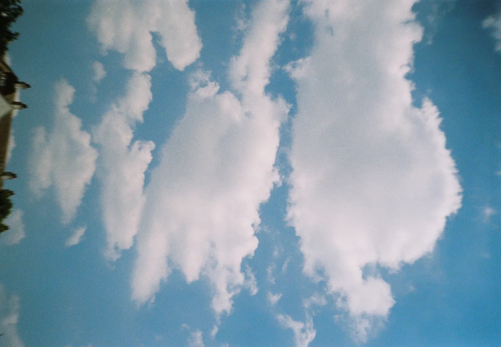 Film photograph shot on Kodak Gold 200 with an Olympus Mju-I by CJ Liu