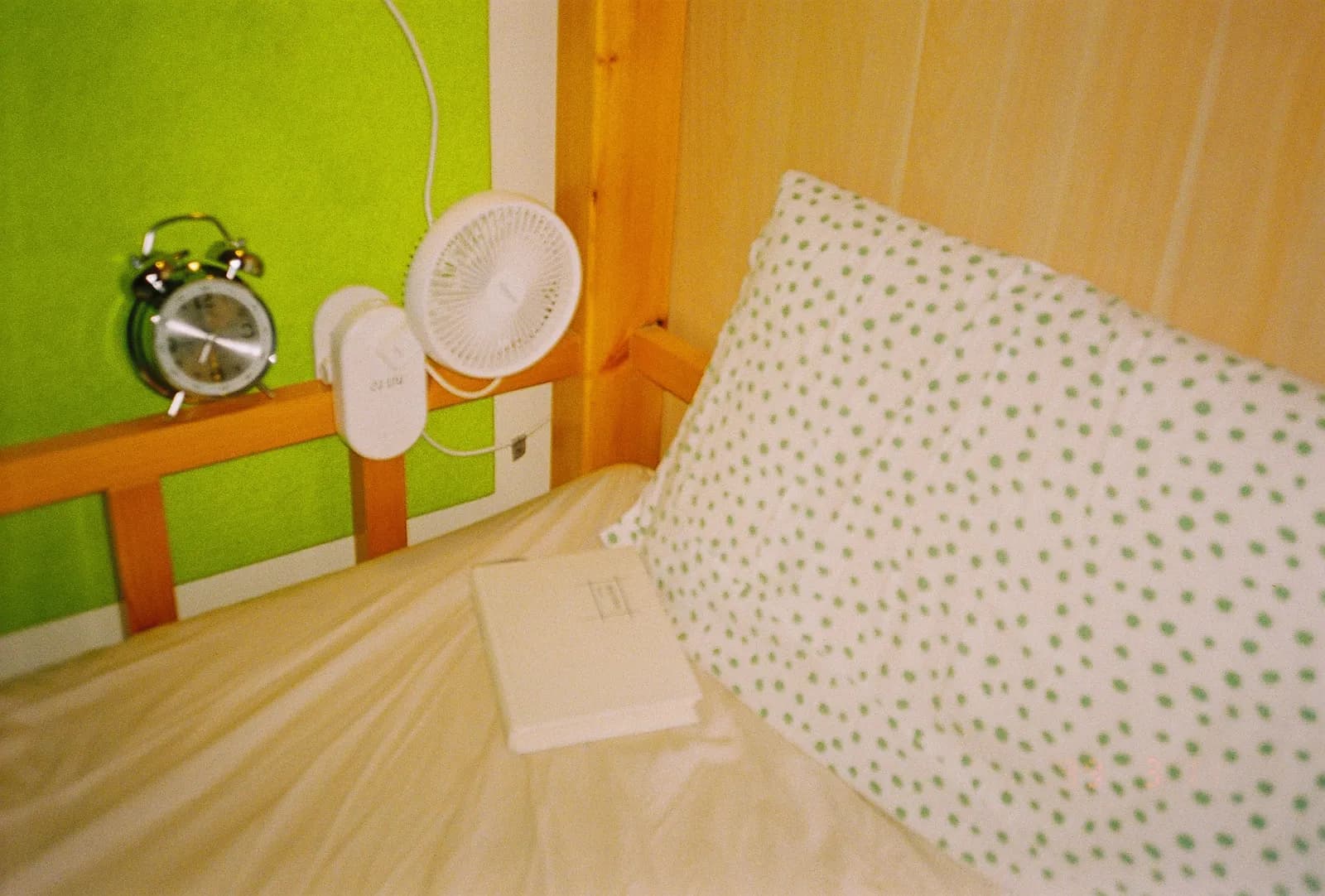 Film photograph
