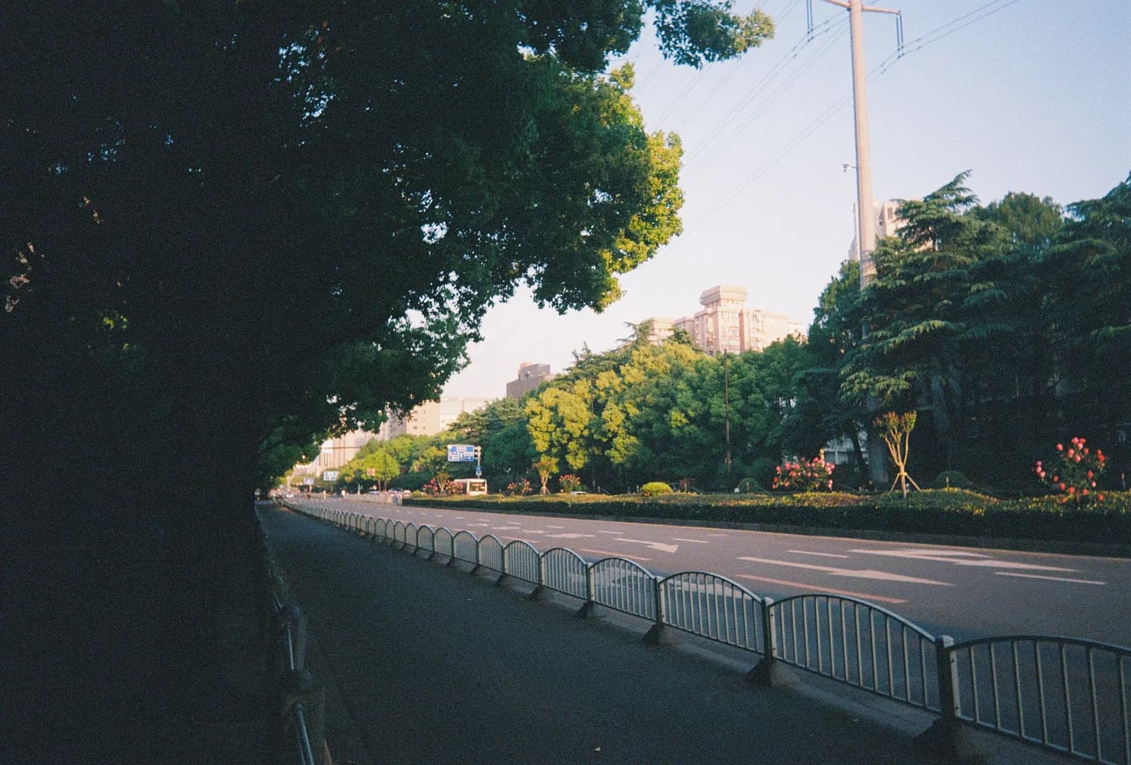 Film photograph shot on Lomography Color Negative 400 with a Kodak Snapic A1 by Zigao Wang