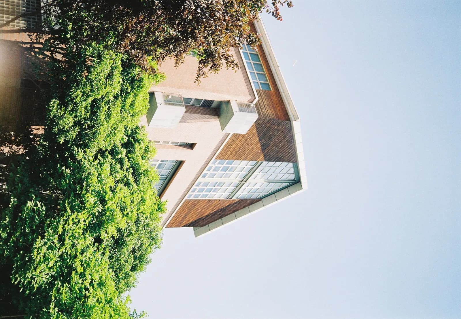 Film photograph shot on Kodak Gold 200 with an Olympus Mju-I by CJ Liu