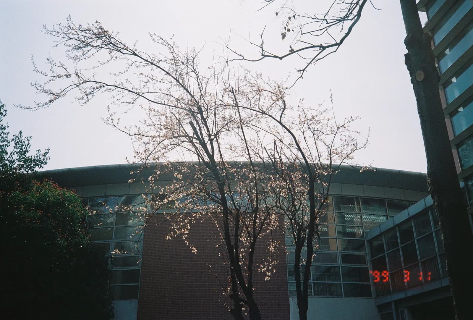 Film photograph