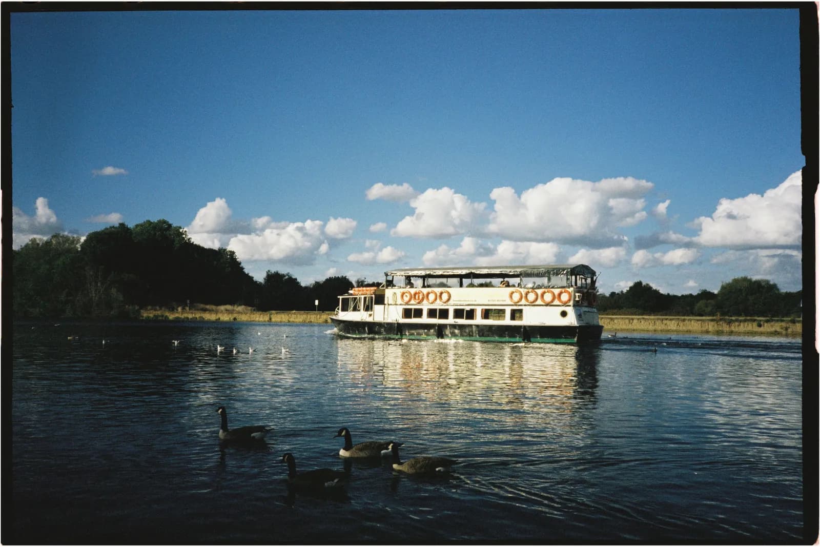 Film photograph shot on Candido 400 with a Konica Big Mini BM-201 by Zigao Wang
