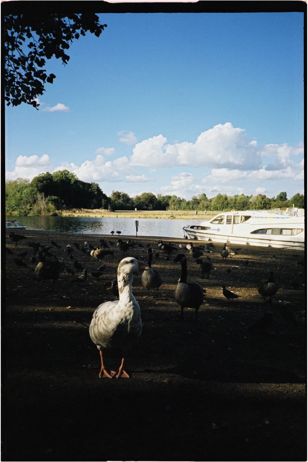 Film photograph shot on Candido 400 with a Konica Big Mini BM-201 by Zigao Wang